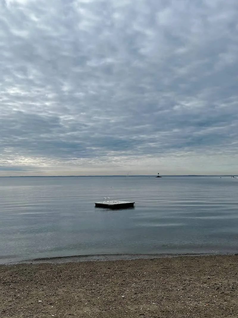 Awaiting Swimmers LoRes.jpeg