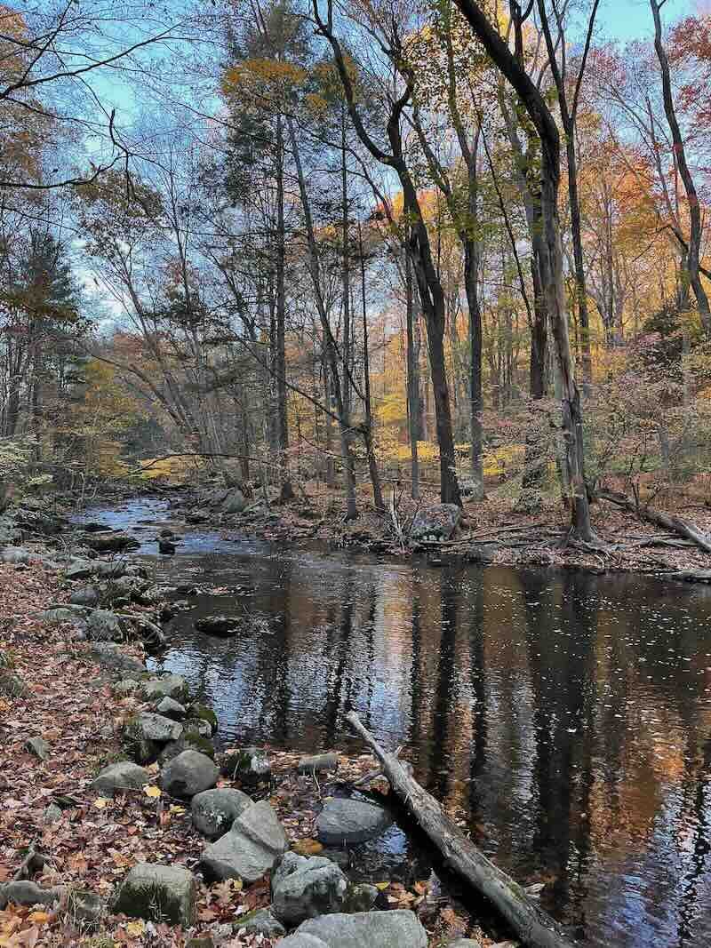 Mianus River Autumn