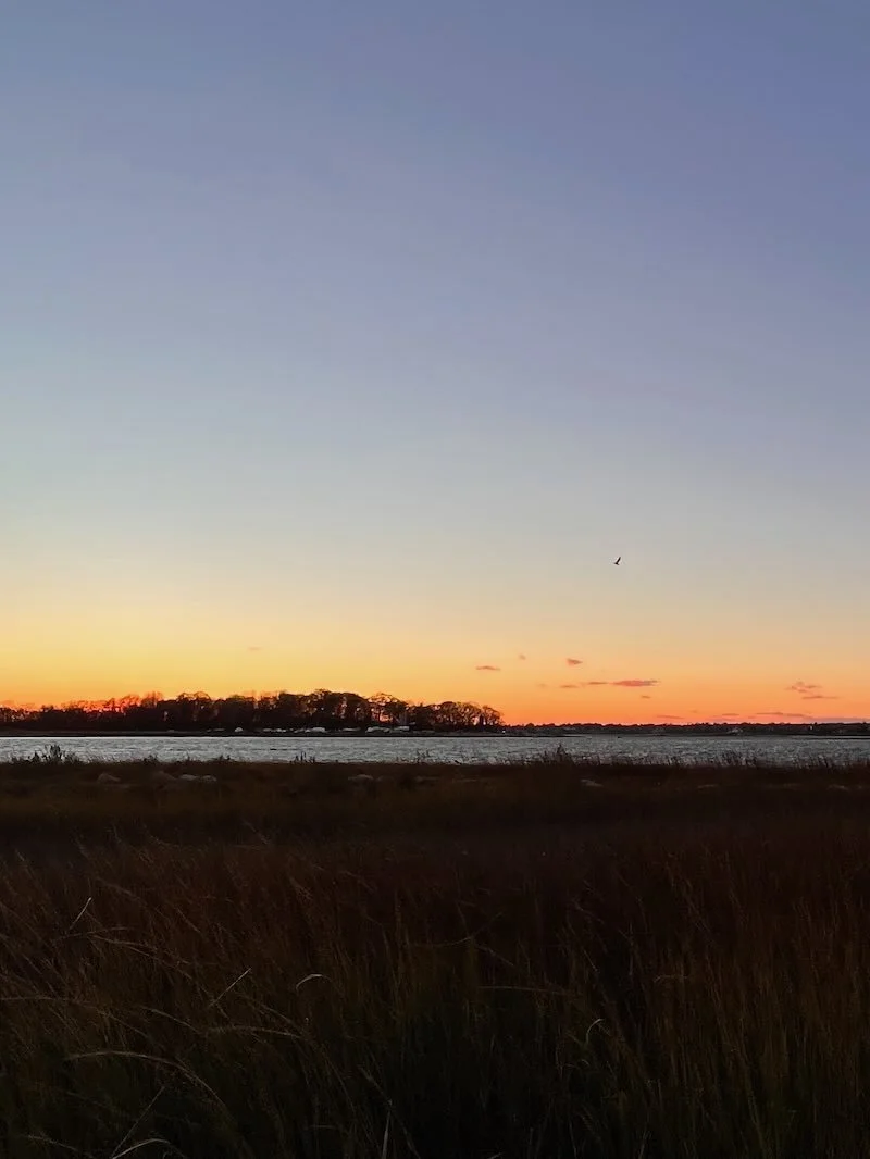 Sunset with Seagull