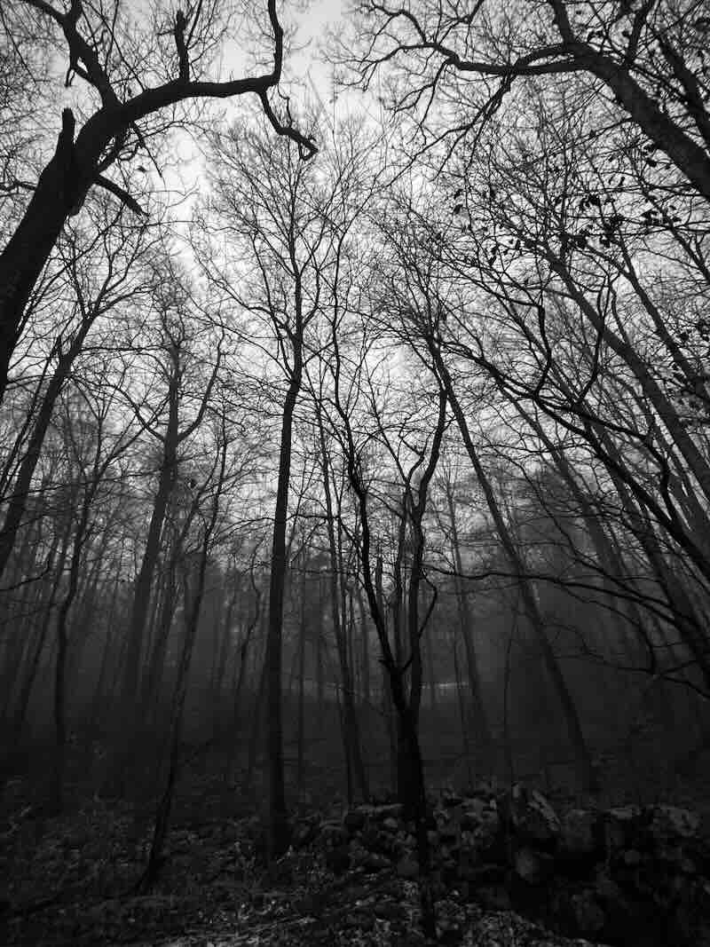 Winter Wall Black & White 2