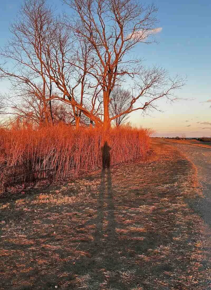 Shadow Work 1