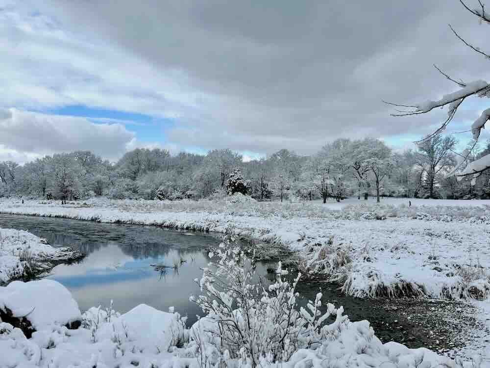 Winter Marsh