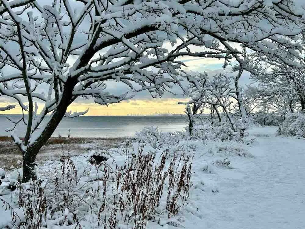 Winter Beach Path LoRes.jpeg