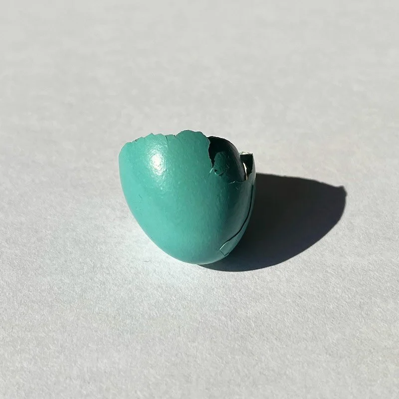 Robin's Egg