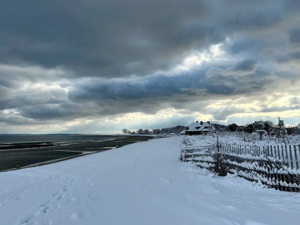 Winter Innes Arden