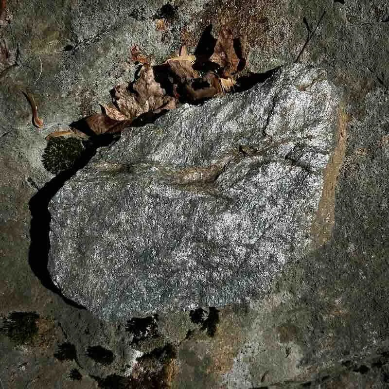 Shiny Stone
