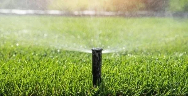 Lawn sprinkler watering a green grass lawn