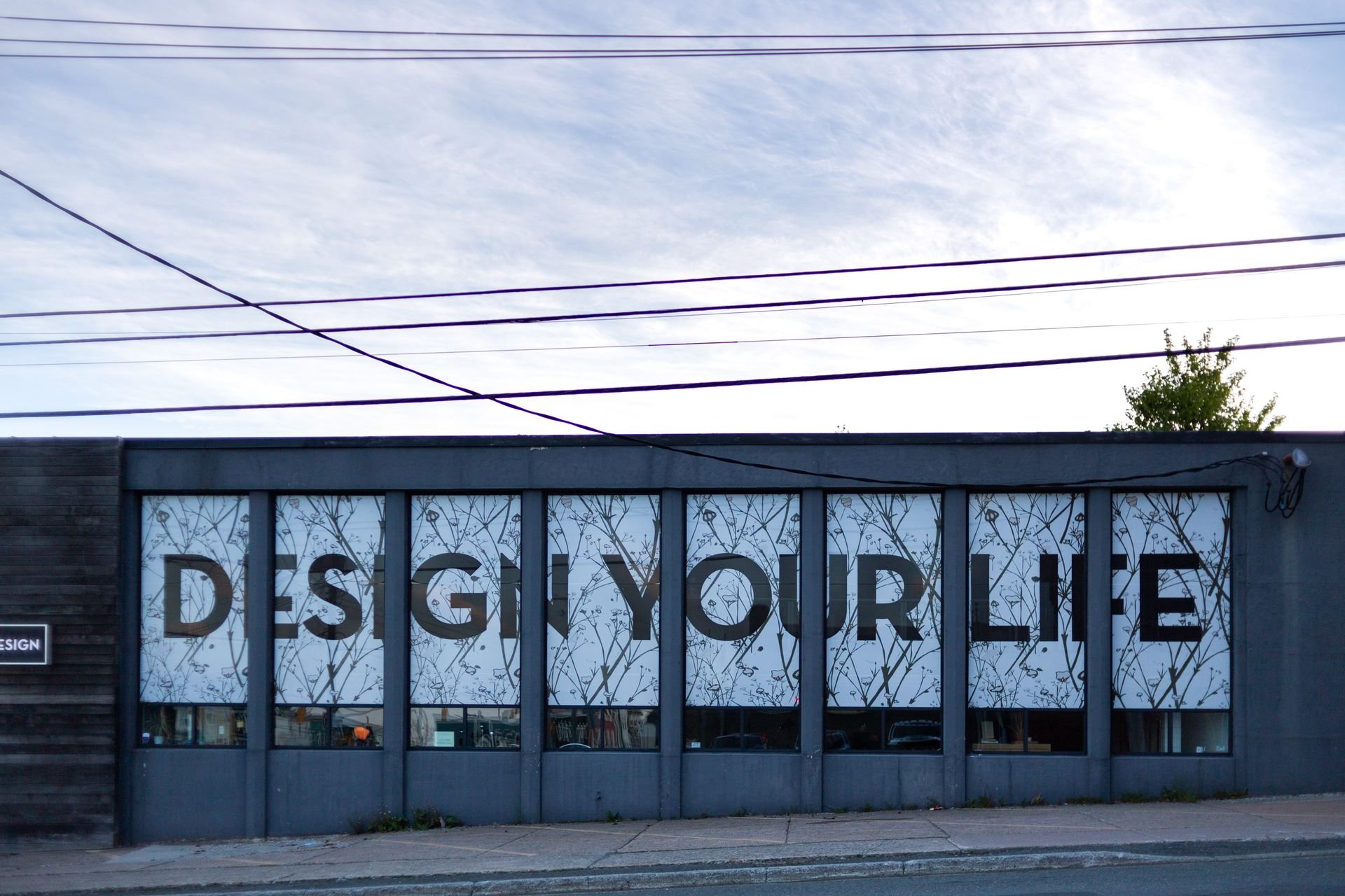 Signs Your Storefront Window Graphics Need a Seasonal Refresh