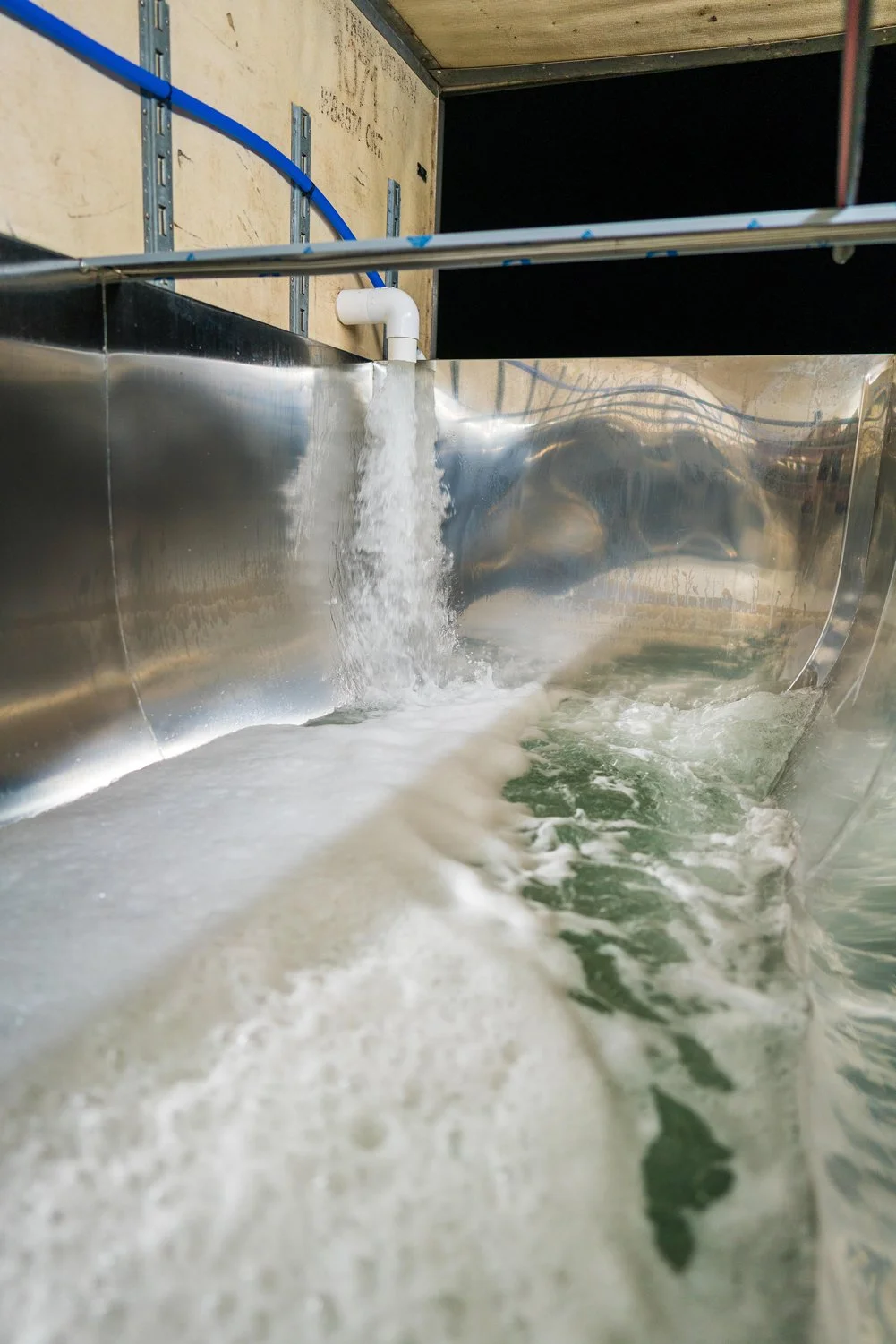 Maple Sap flowing from a white pipe into a stainless steel tank or trough. Milestone Ridge Maple Syrup - Pure Ontario maple syrup from Palmerston, Ontario, Canada. Grade A maple syrup available for purchase in golden maple syrup, amber maple syrup.