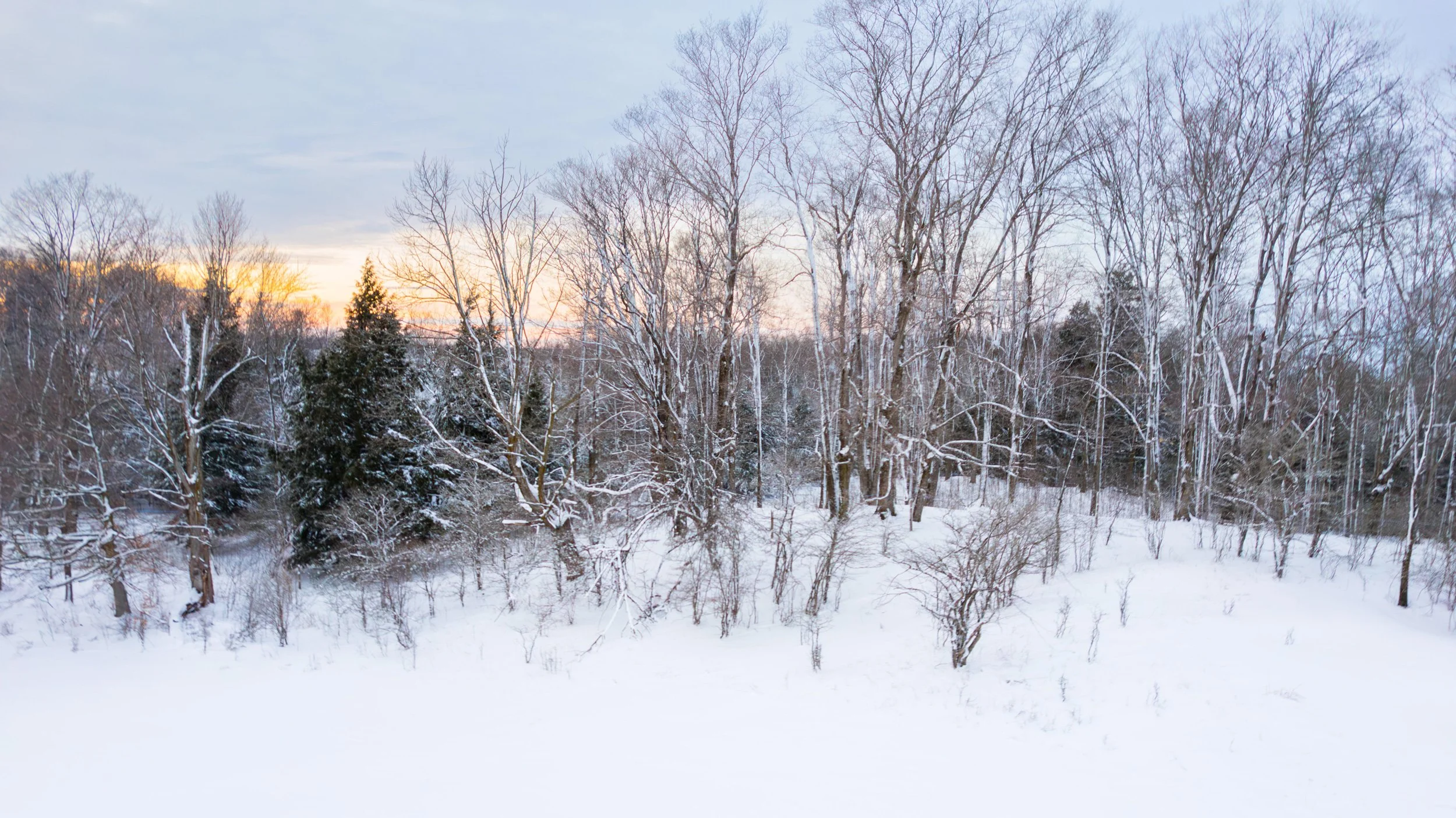 A winter landscape with a snow-covered forest and a frozen river, trees without leaves, and a colorful sunset sky in the background. Wholesale maple syrup in Ontario, bulk maple syrup Canada, custom maple syrup gifts, corporate maple syrup favours.