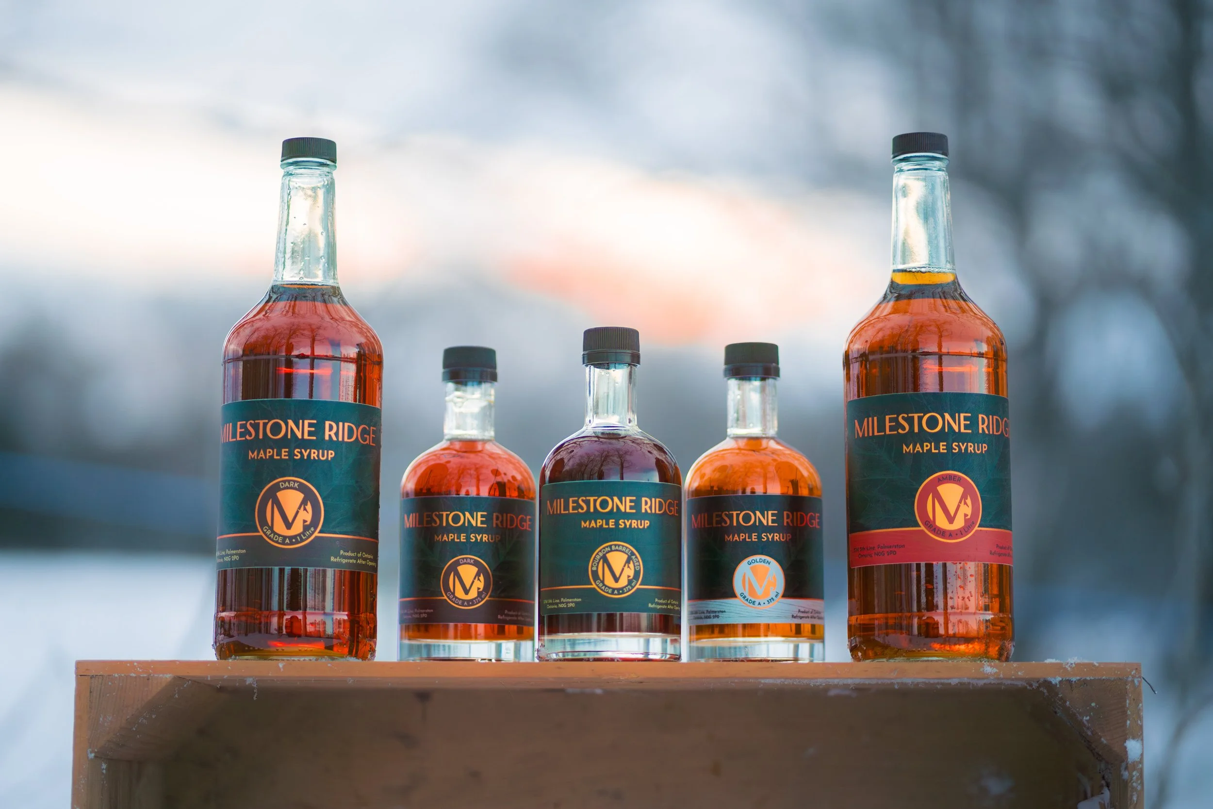 Several bottles of maple syrup labeled "Milestone Ridge" with varying shades of amber, arranged on a wooden surface outdoors against a blurred background. Wholesale maple syrup in Ontario, bulk maple syrup Canada, custom maple syrup gifts.