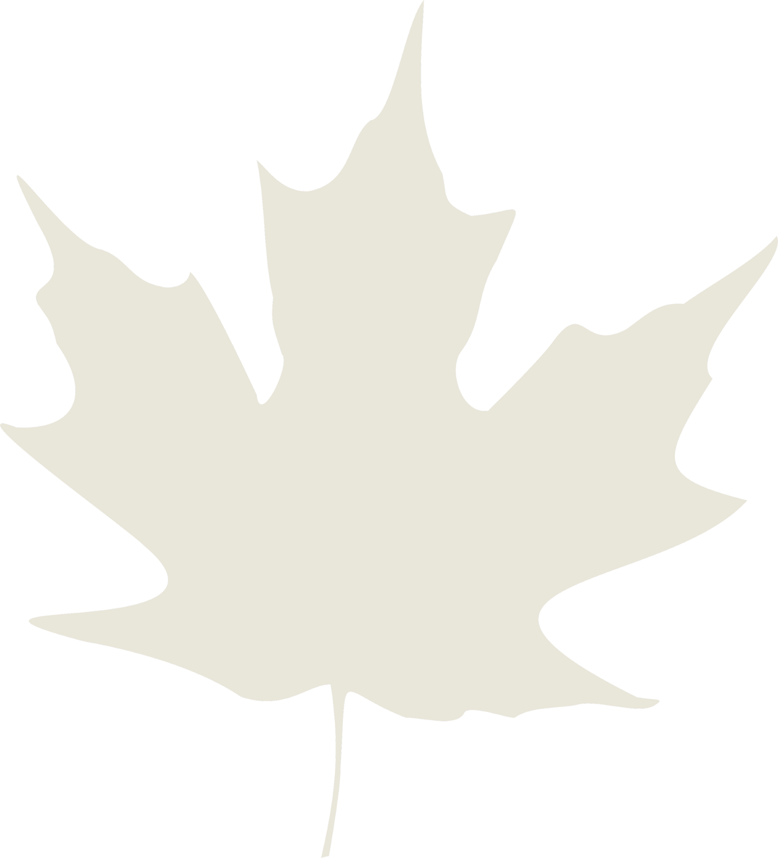 A cream coloured image of a maple leaf, outlined against a black background. Milestone Ridge Maple Syrup - Pure Ontario maple syrup from Palmerston, Ontario, Canada.