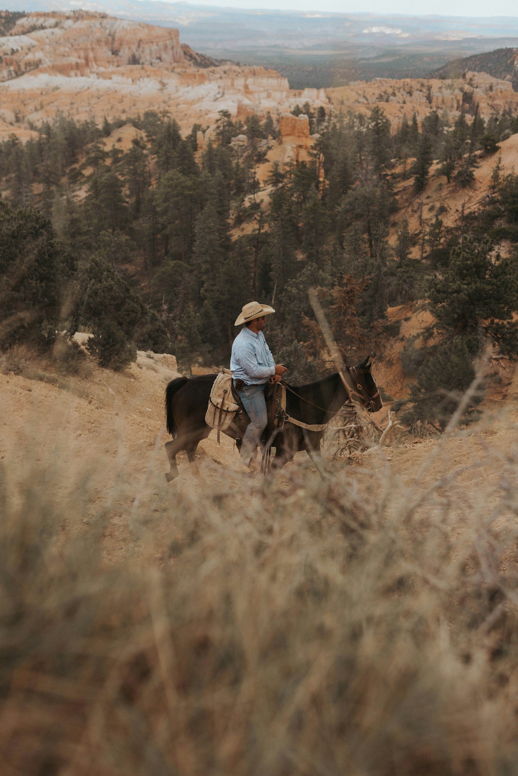 A person riding a horse in a desert landscape with rocky cliffs and sparse trees, wearing a cowboy hat and blue shirt.