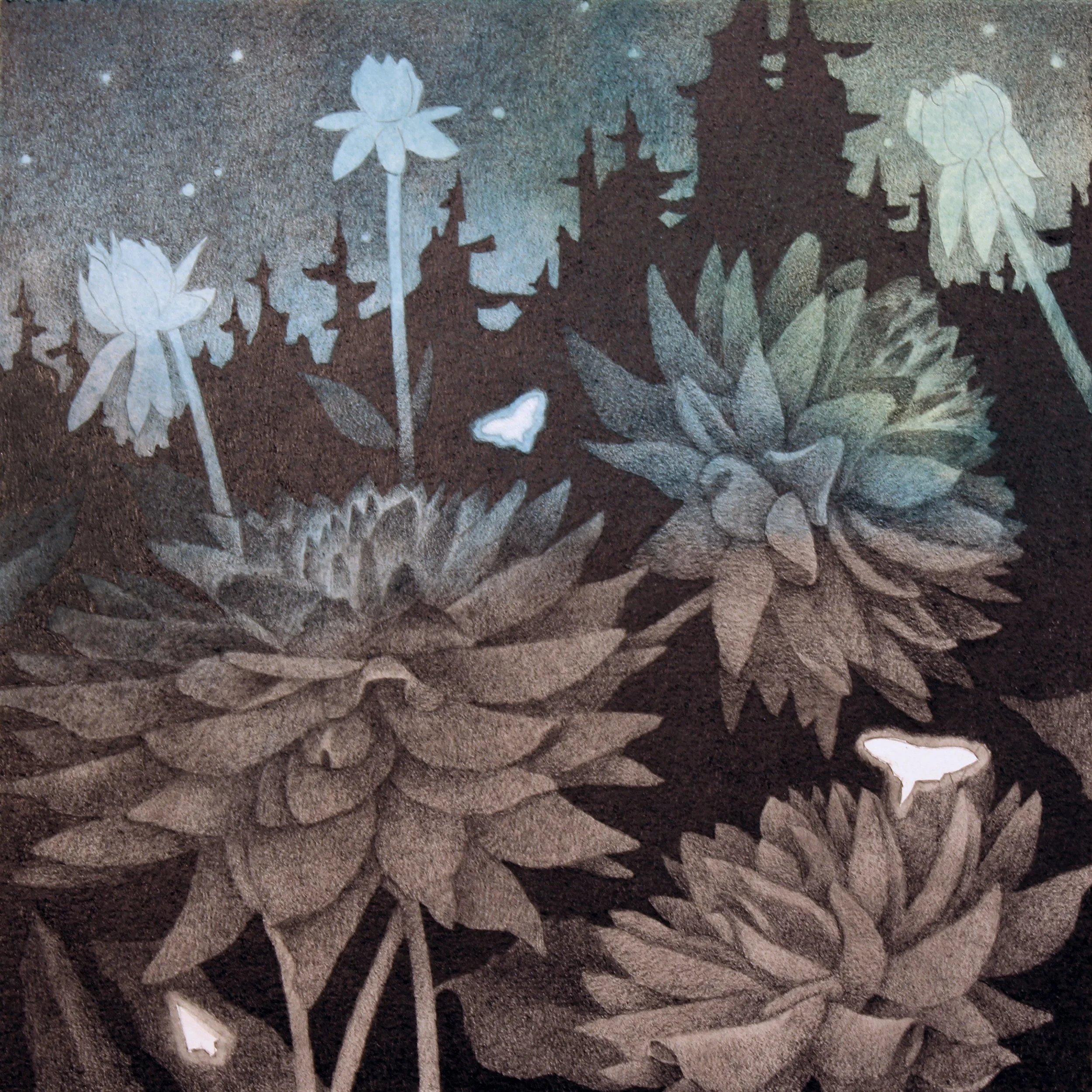 JHFuerstenberg_MidnightDahlias2_graphitewatercolor_woodpanel.jpg