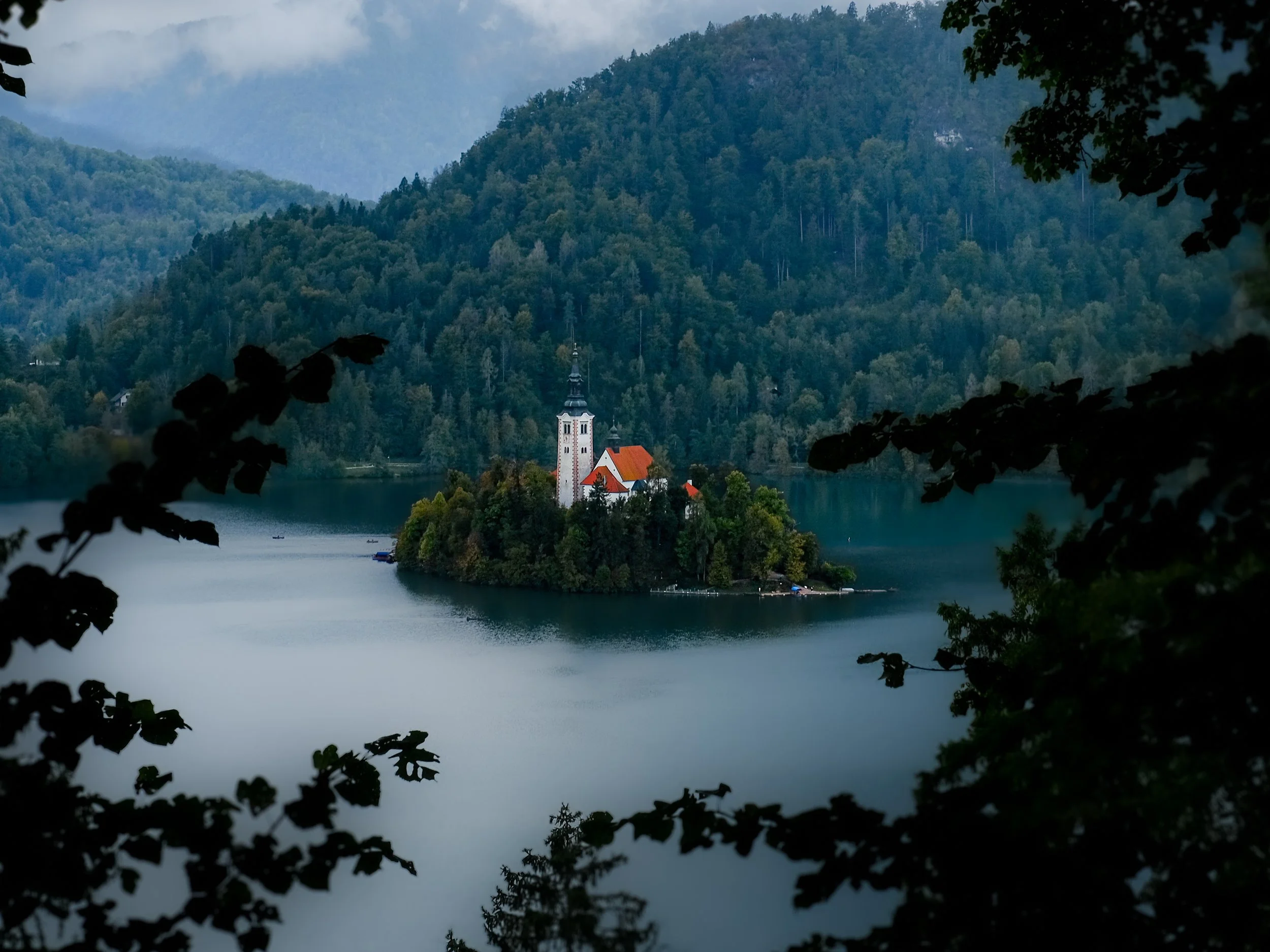 DSCF2118.jpg
