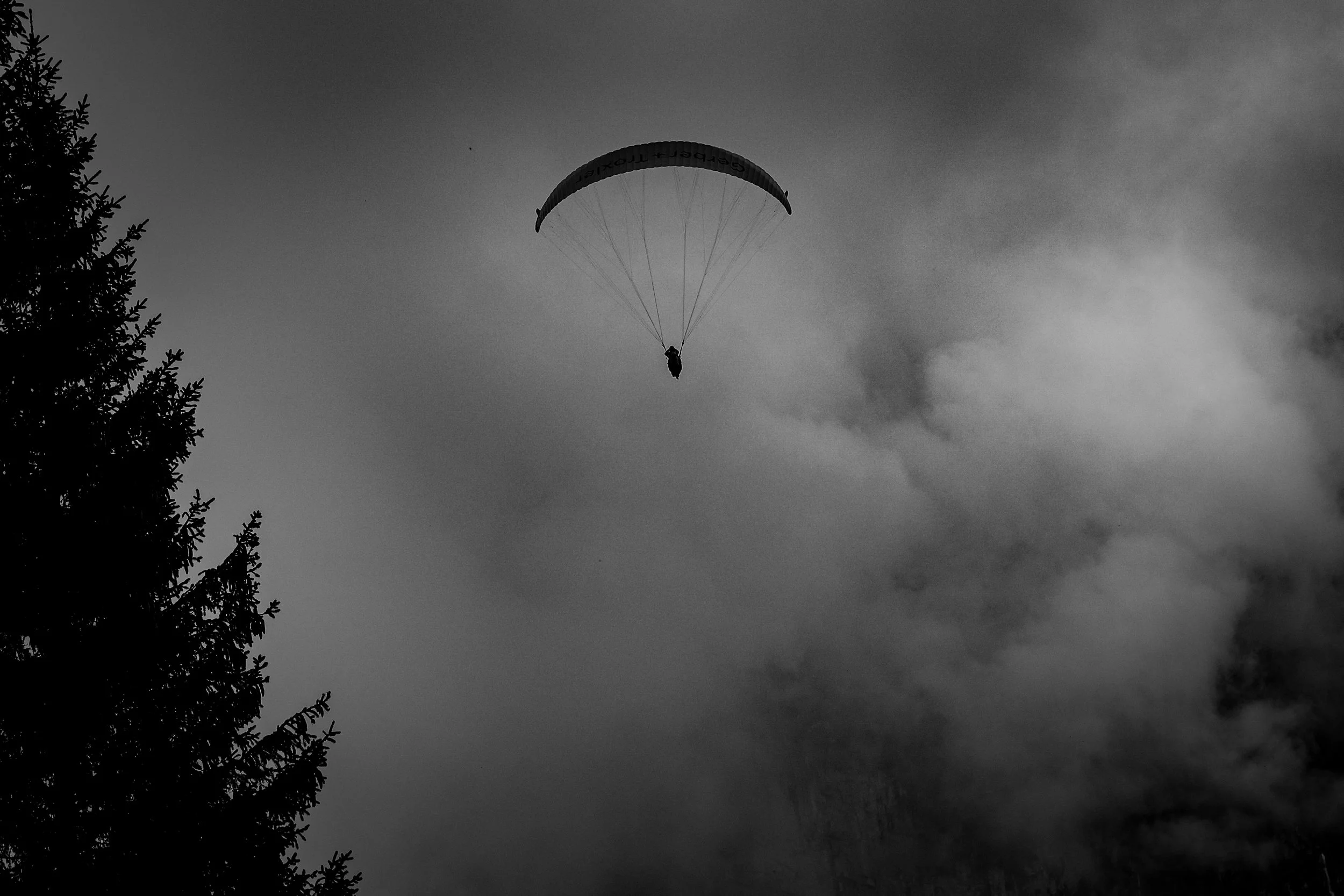 DSCF1655.jpg