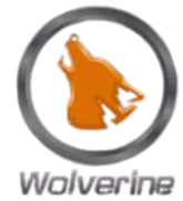 A WeAreLi logo featuring a silhouette of a person wearing a hooded jacket, holding a skateboard, inside a circular border.