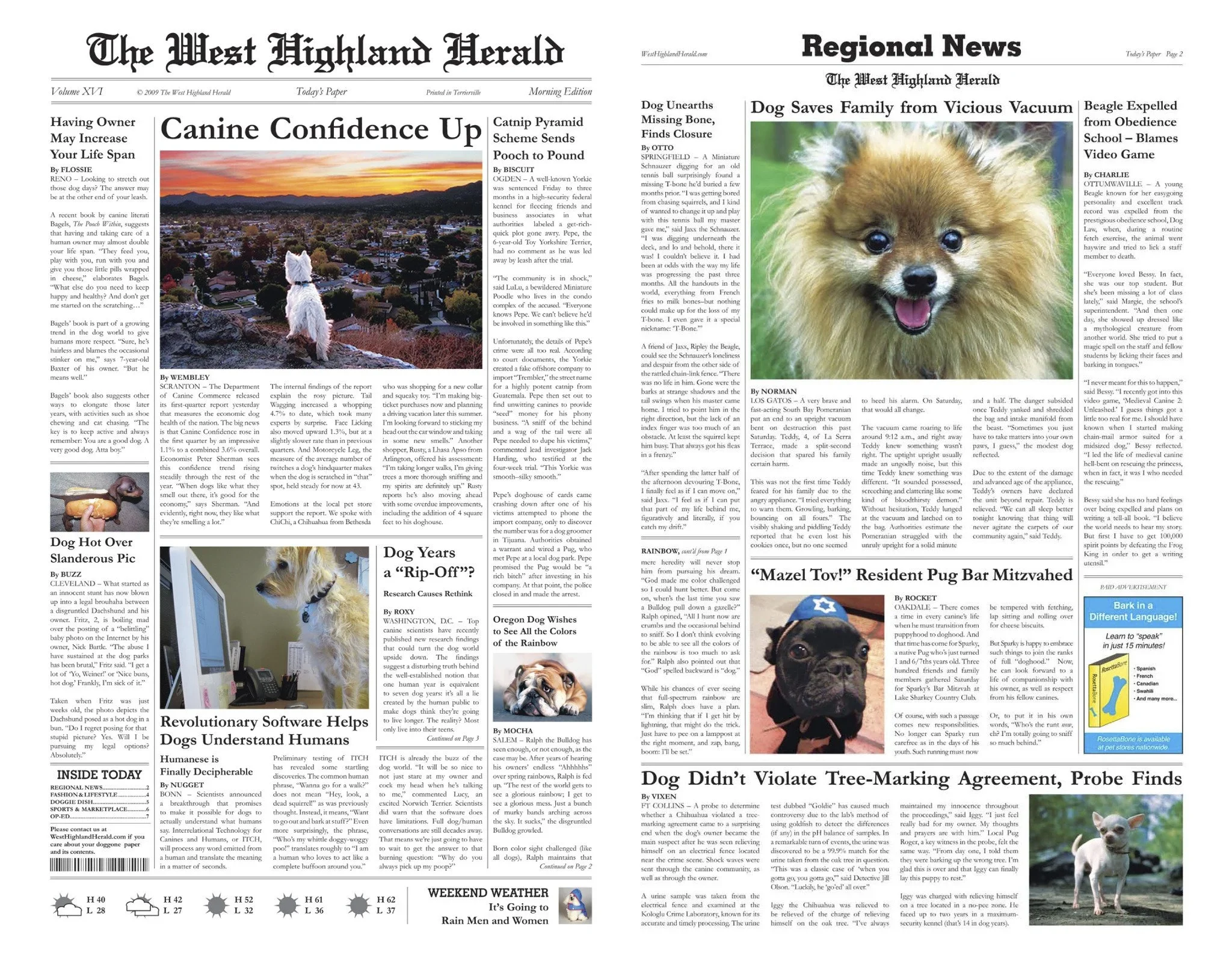 West+Highland+Herald+(dragged)_o.webp