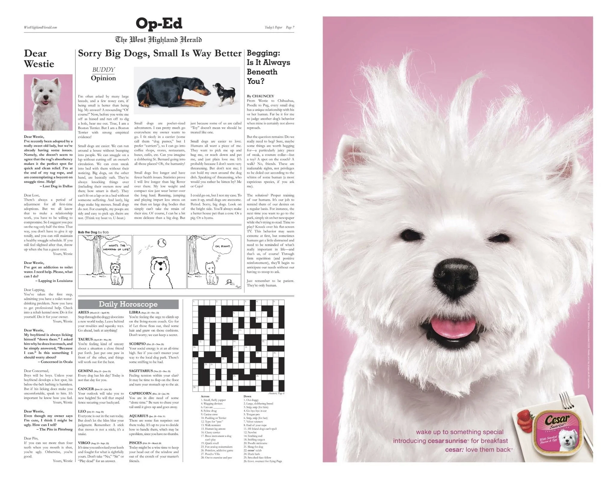 West+Highland+Herald+(dragged)+3_o.webp
