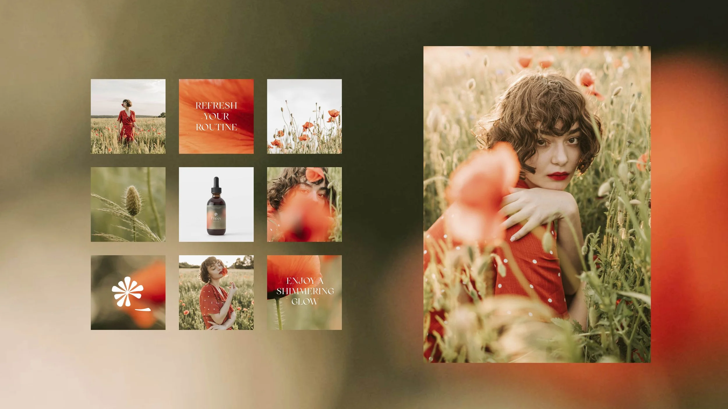 Poppy Projekt – theflow – 04