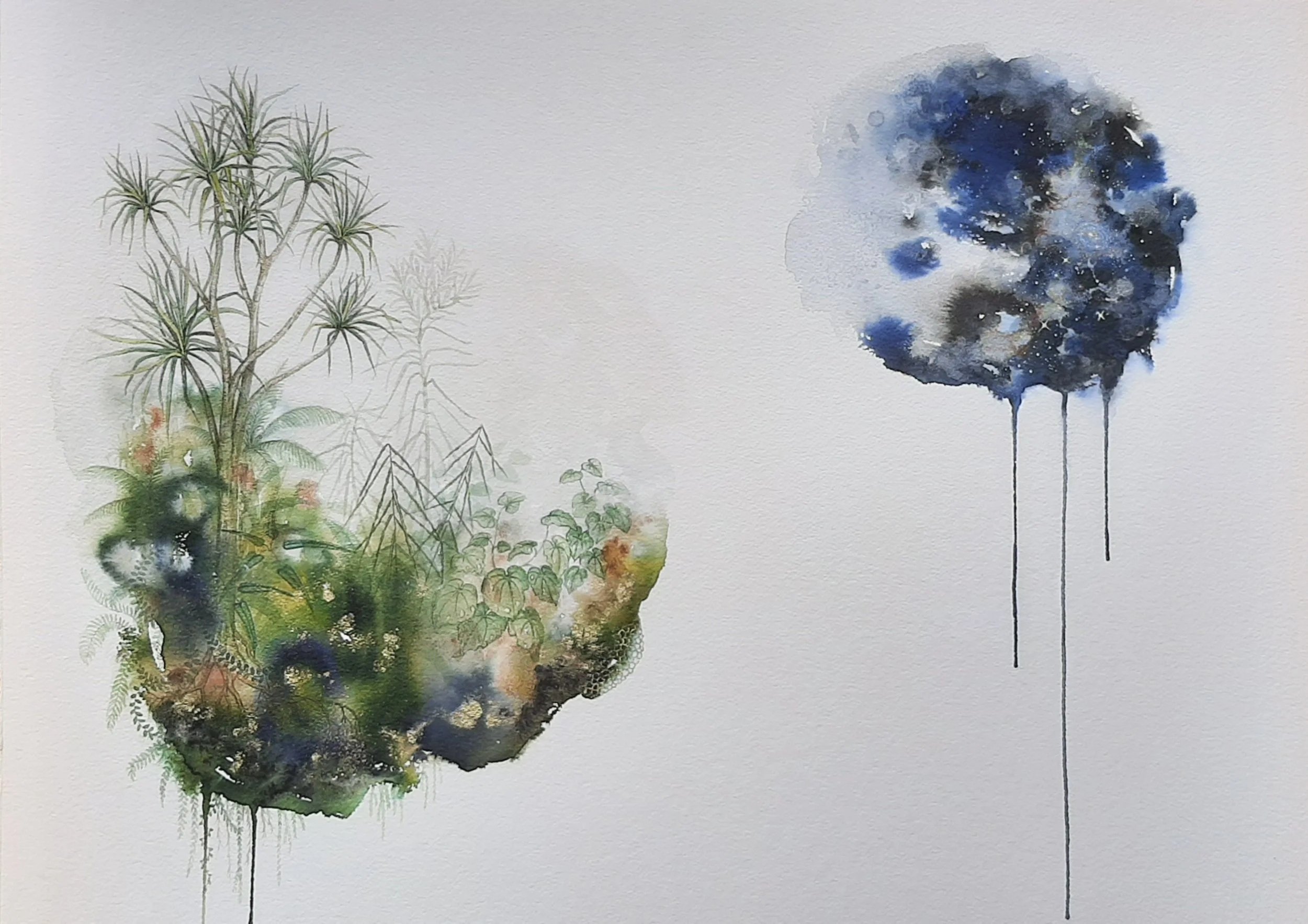 'Ti Kouka & Southern skies'
Watercolour, ink, natural pigment & gold dust on paper. 
Client commission. SOLD 