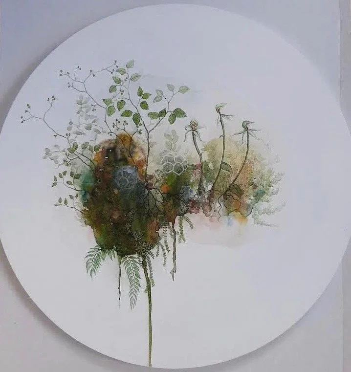 'Mycorrhizal Network'
Watercolour, ink, natural pigment & gold dust on board. 2022
600mm diameter
SOLD 