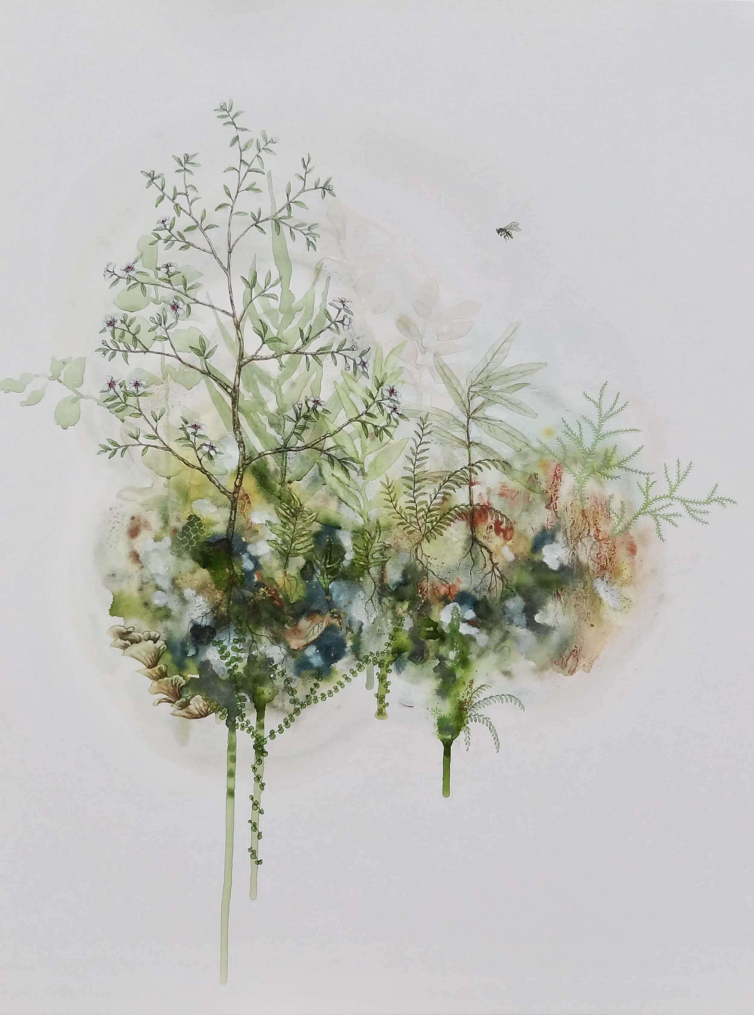 'Mānuka & Ngaro huruhuru'
Watercolour, ink, natural pigment & gold dust on canvas. 2024.
610mm x 760mm
Available at The Coolstore Gallery, Māpua.
Limited edition of 30, giclee prints available.