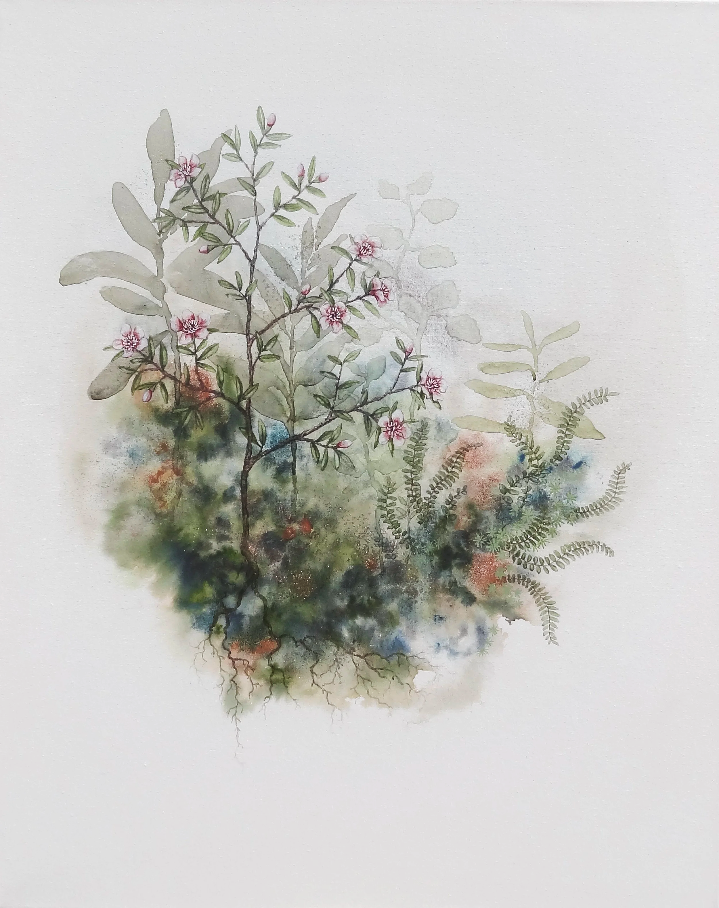 'Mānuka - Blushing star'
Watercolour, ink, natural pigment & gold dust on canvas. 2023
400mm x 505mm 
SOLD