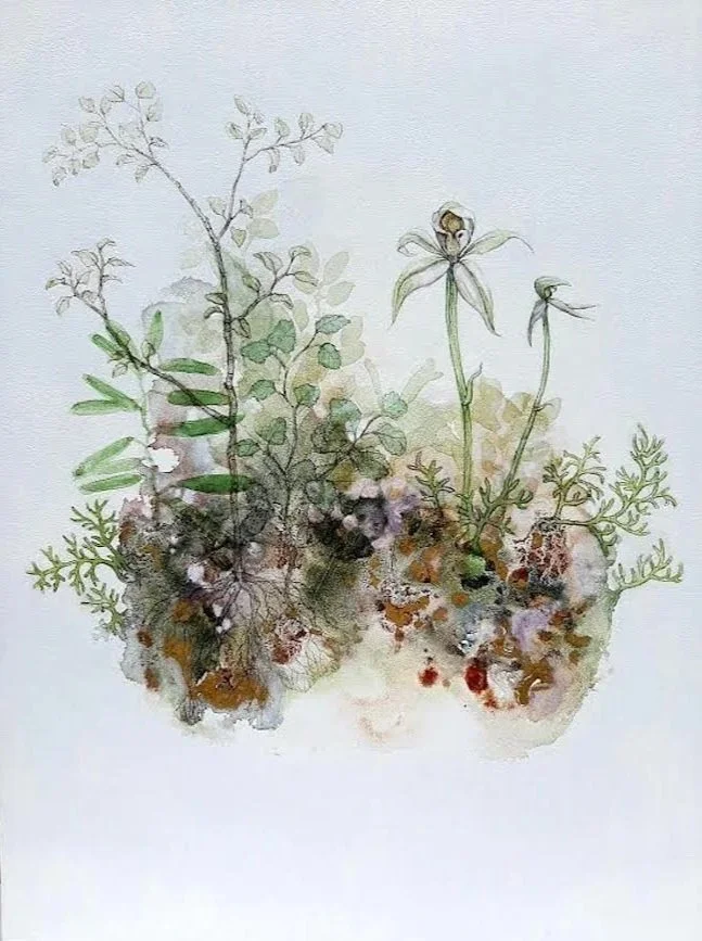 'Forest Orchid'
Watercolour, ink & natural pigment on board.
2021
SOLD
giclee print edition / sold out 
