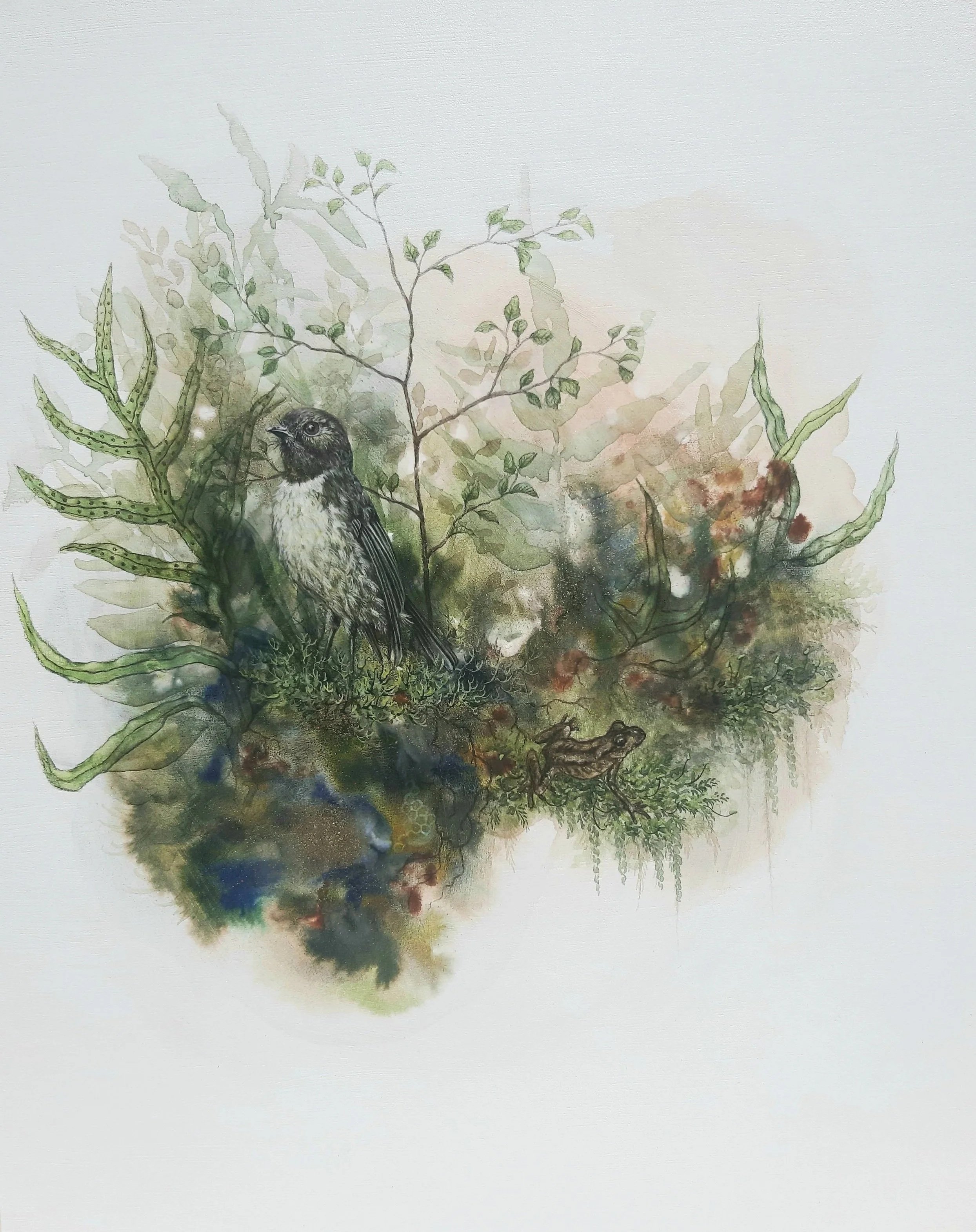 'Kakaruwai & Native frog'
Watercolour, ink & natural pigment on board
Client commission SOLD 