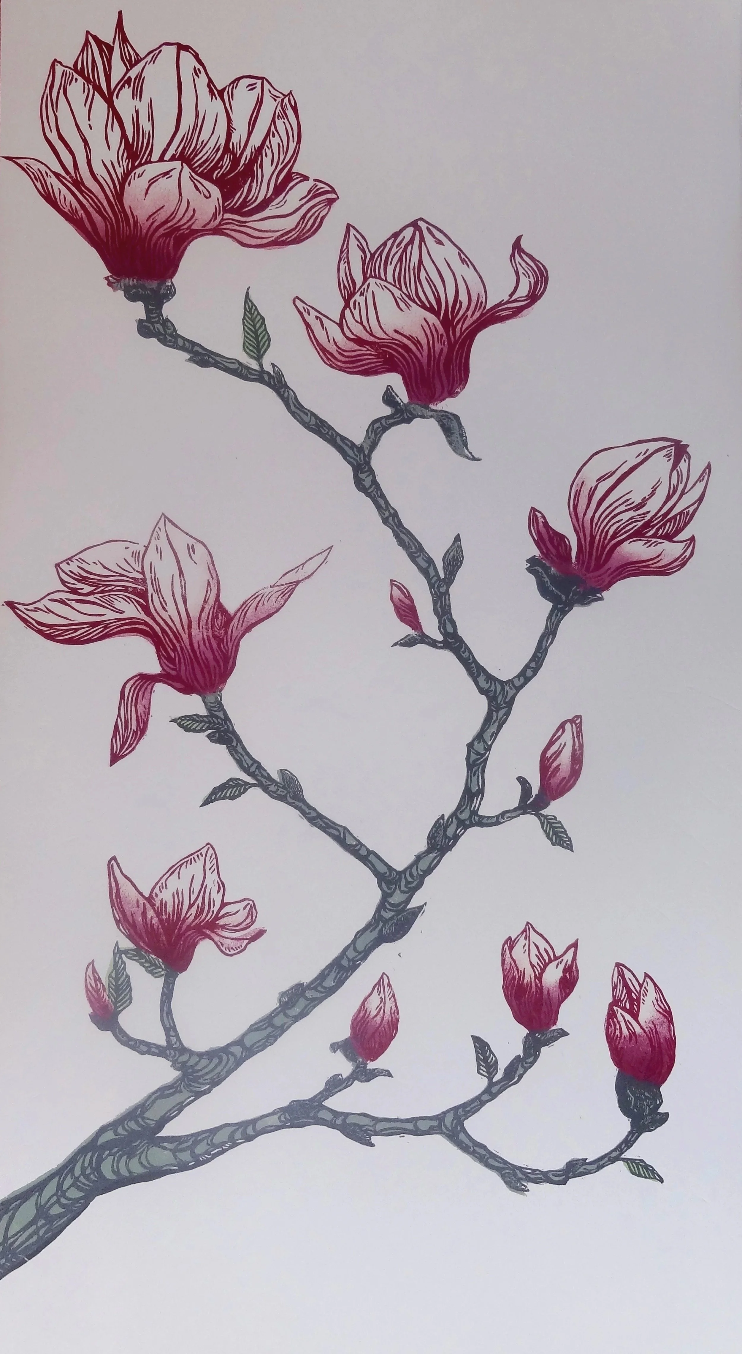 'Magnolia'
Multi colour block, original relief print. 
Limited edition sold out 