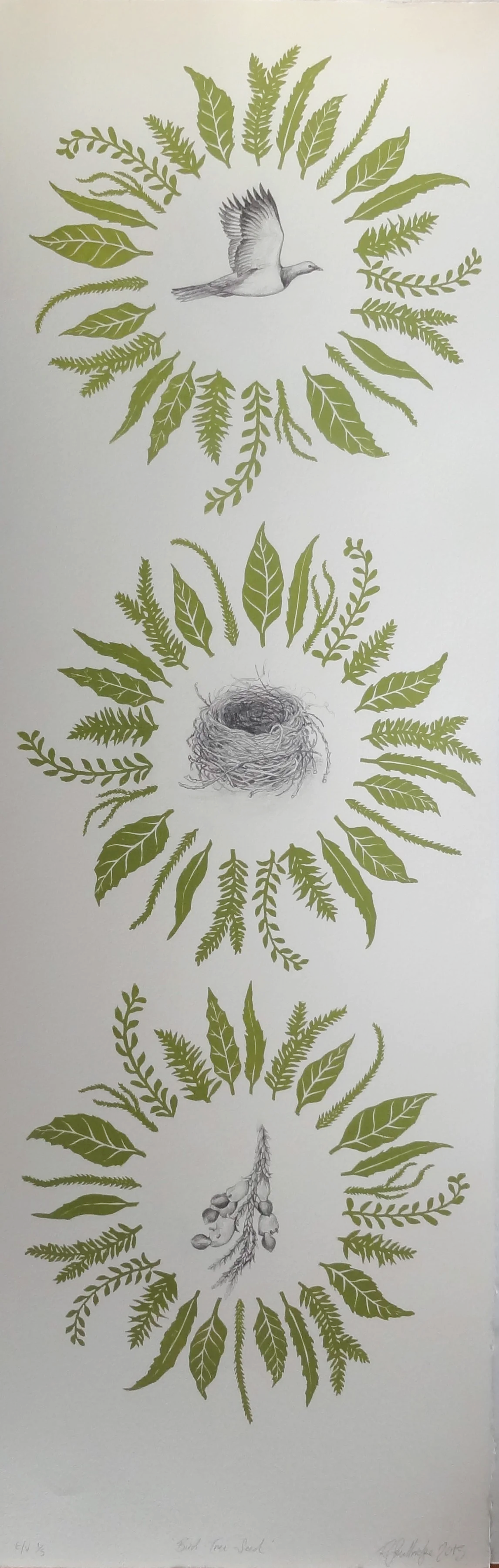 'Bird-Tree-Seed'
Original relief print with graphite.
Limited edition sold out