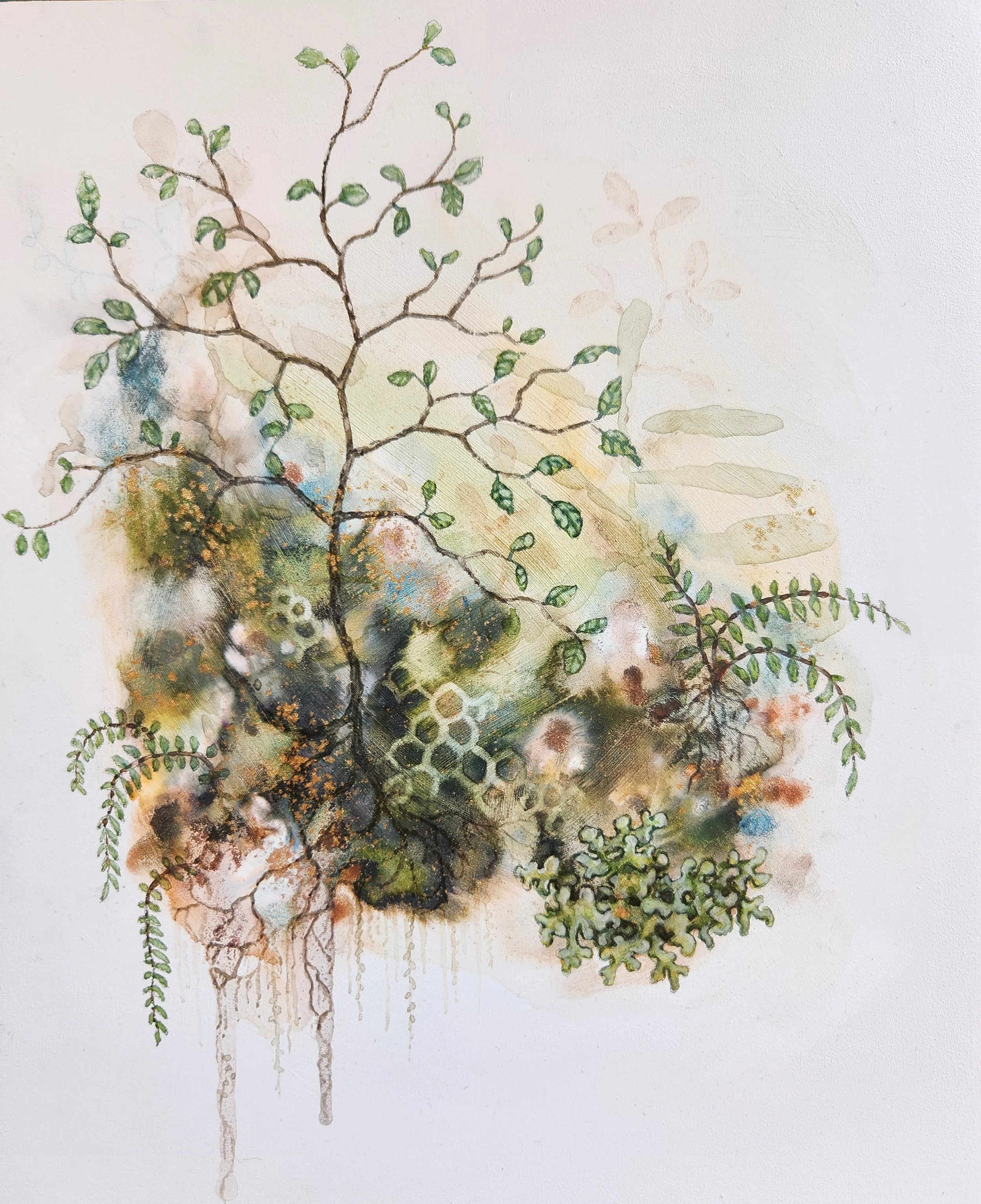 'Putaputāwētā Ecosystem'
Watercolour, ink, natural pigment & gold dust on board. 2025
252mm x 205mm x 50mm 
Available at Little River Gallery, Little River.