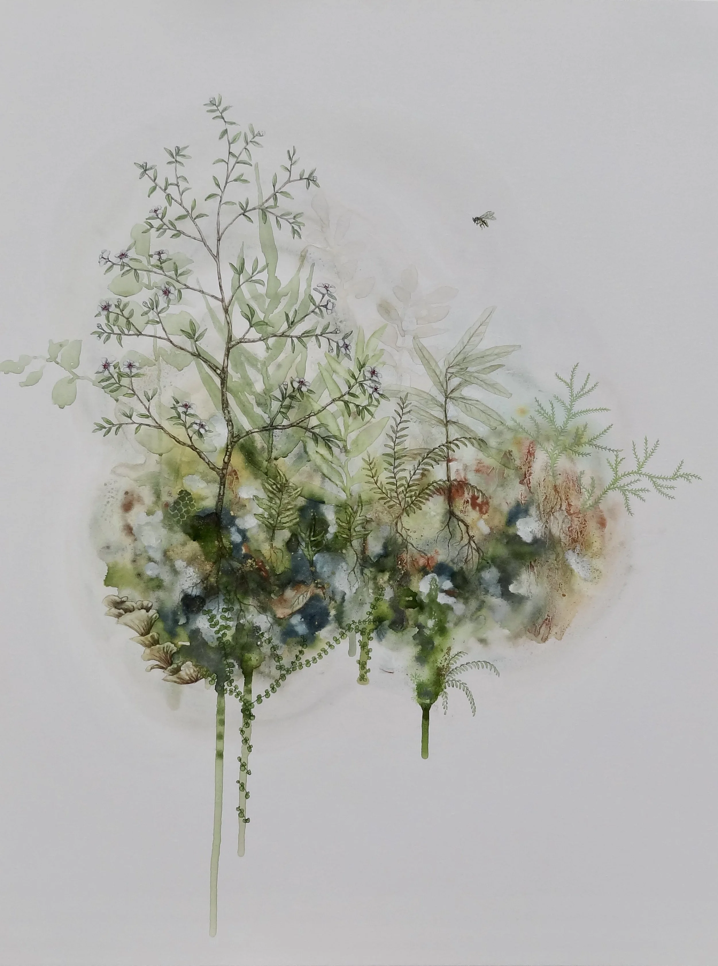 'Mānuka & Ngaro huruhuru' R.S 2024.JPG