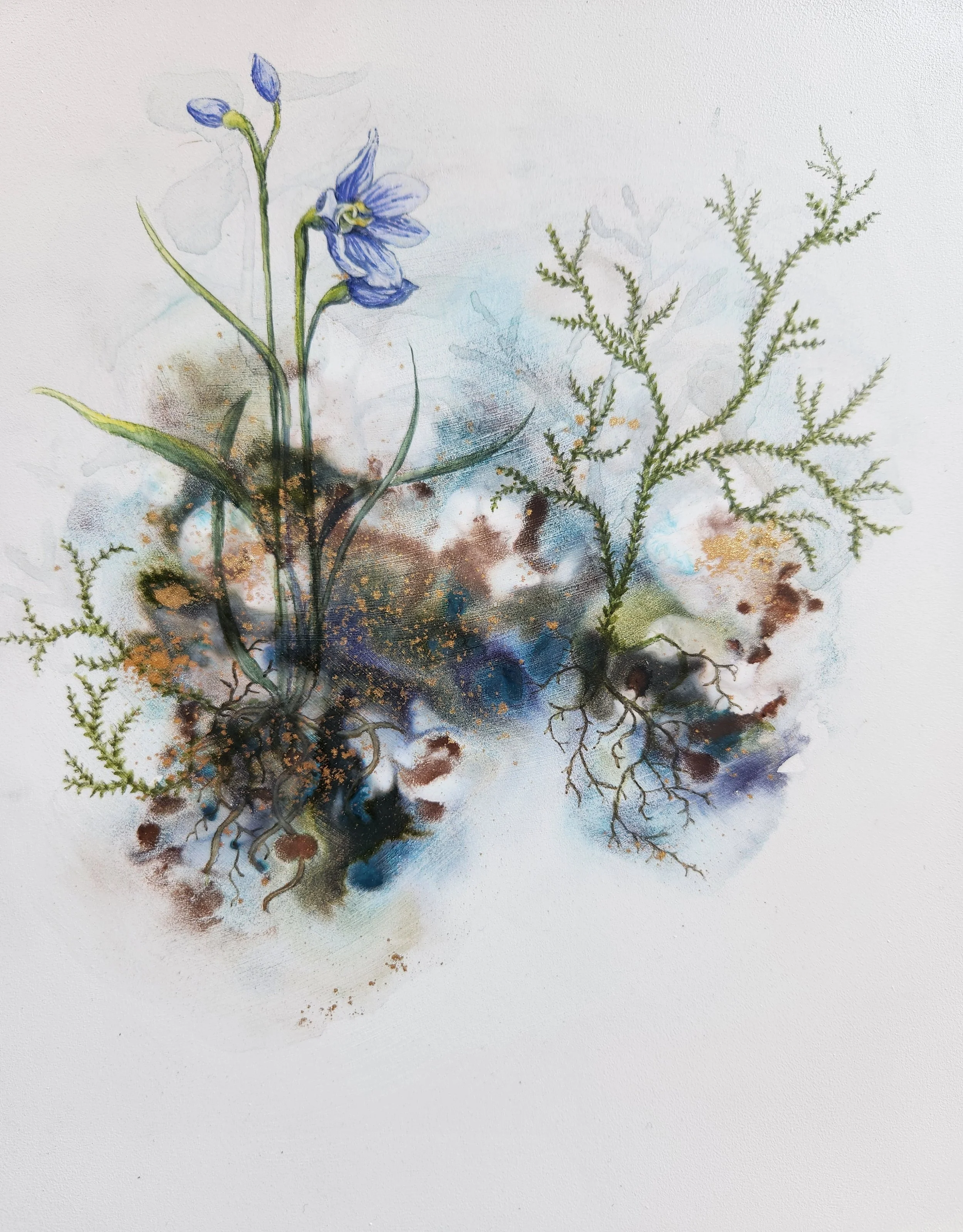 'Māikuku - Swamp sun orchid'
Watercolour, ink, natural pigment & gold dust on board. 2025
252mm x 205mm x 50mm 
SOLD 