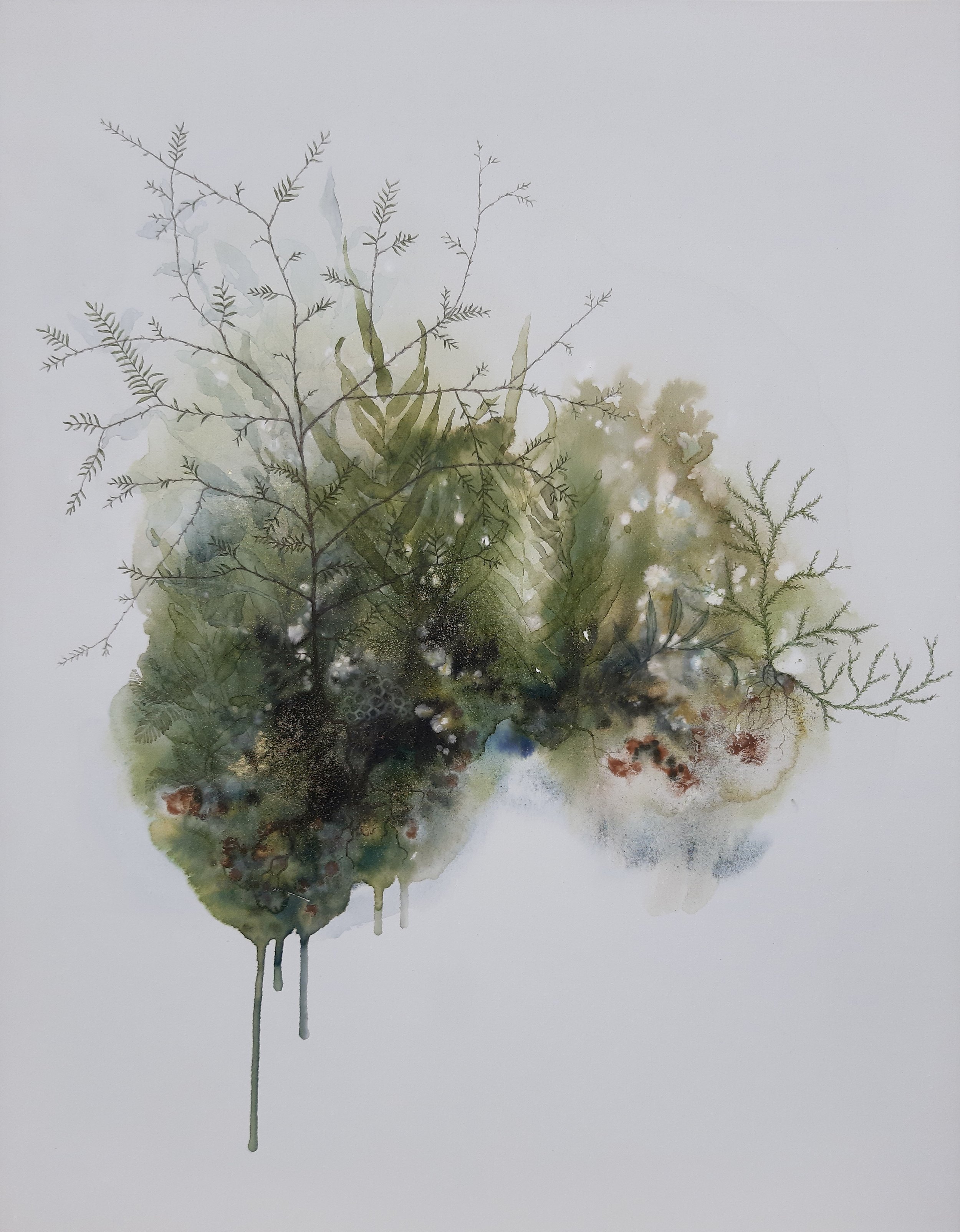 'Kahikatea biosphere' 2022.RS.01. jpg.jpg