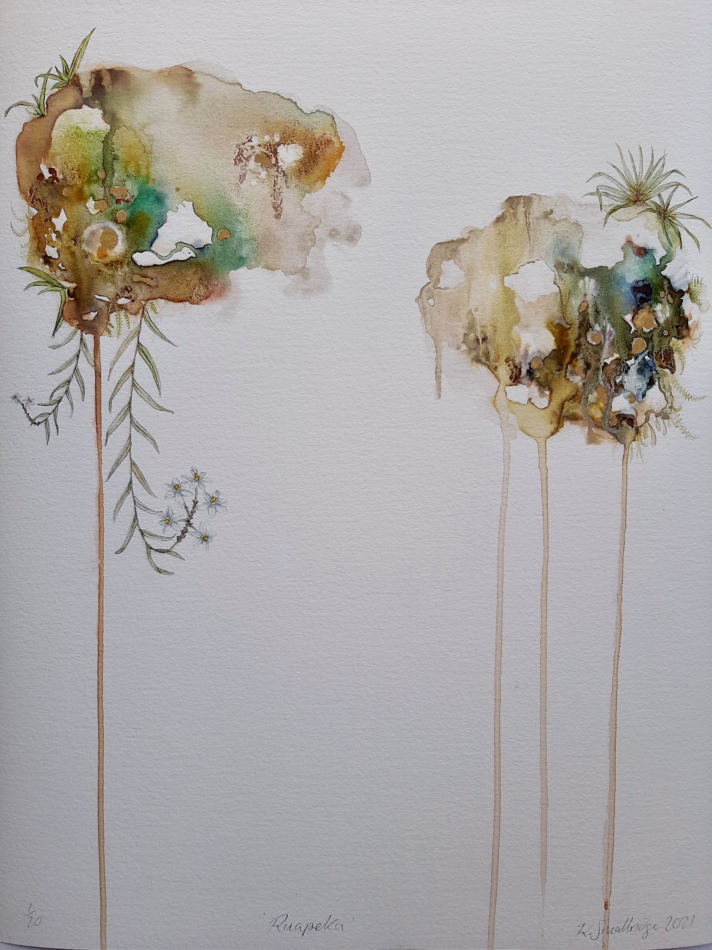 'Raupeka - Easter Orchid' Giclee print.RS.jpg