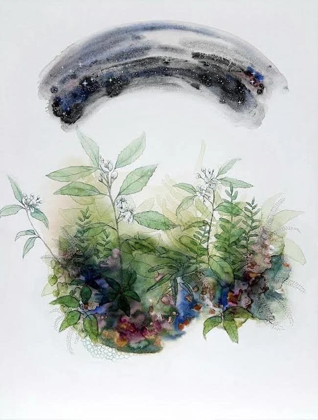 'Hoheria Stars'
Watercolour, ink & natural pigment on canvas. 
2021
405mm x 505mm 
SOLD 