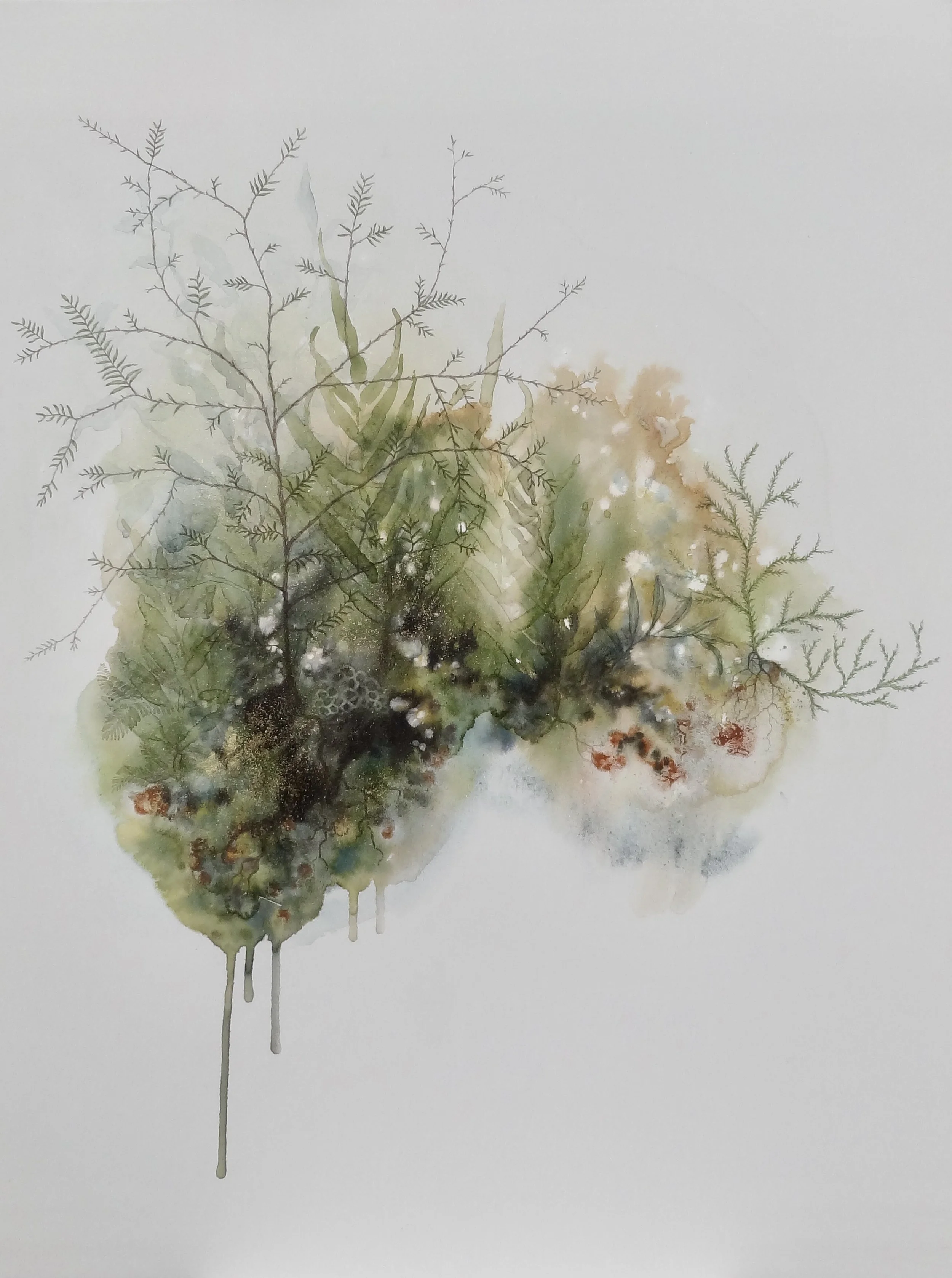 'Kahikatea Biosphere'
Watercolour, ink, natural pigment & gold dust on canvas. 2022.
605mm x 760mm
SOLD