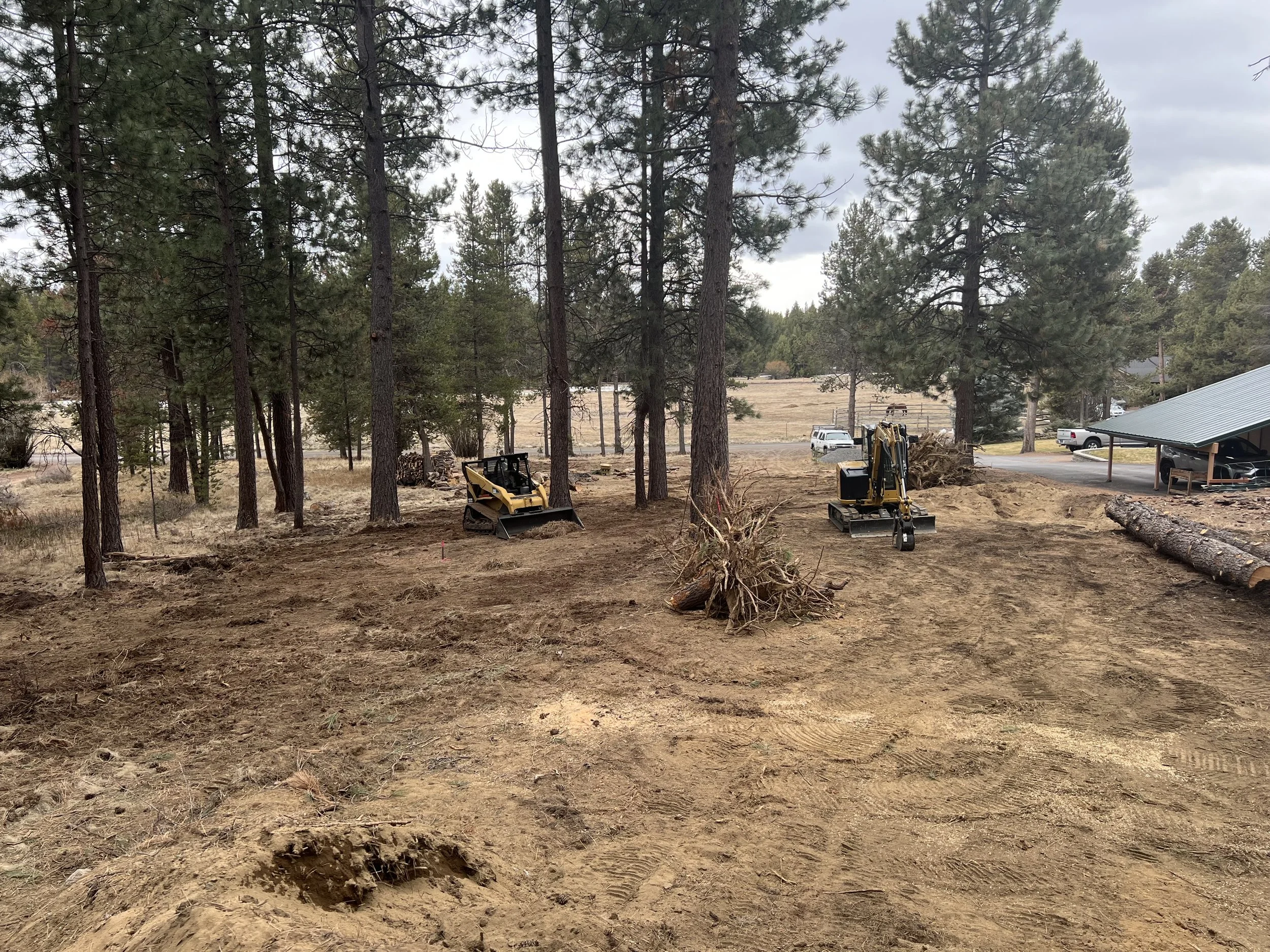 Lot Clear and Site Prep