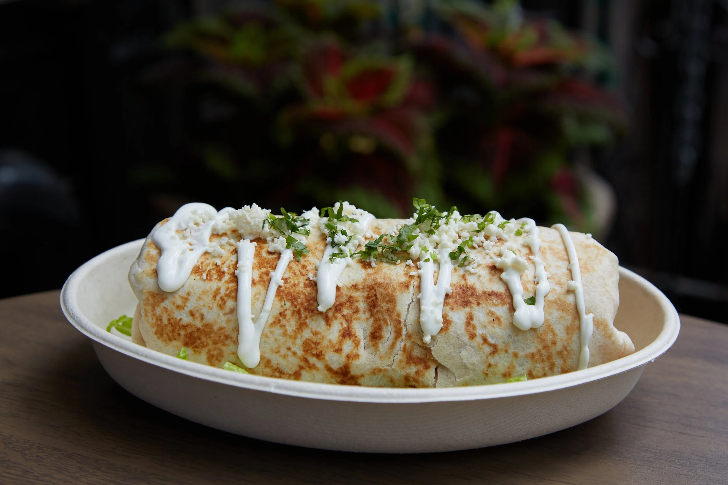 all burritos picture  (1).jpg