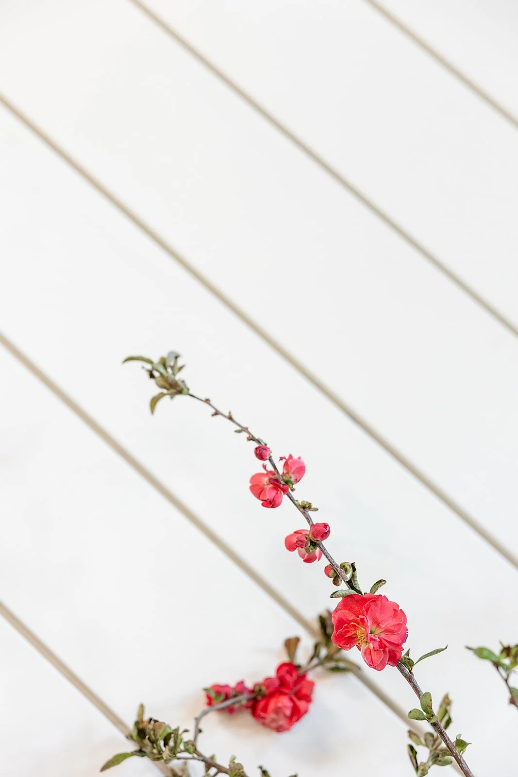 AvaandJackWeddingDay-112.jpg