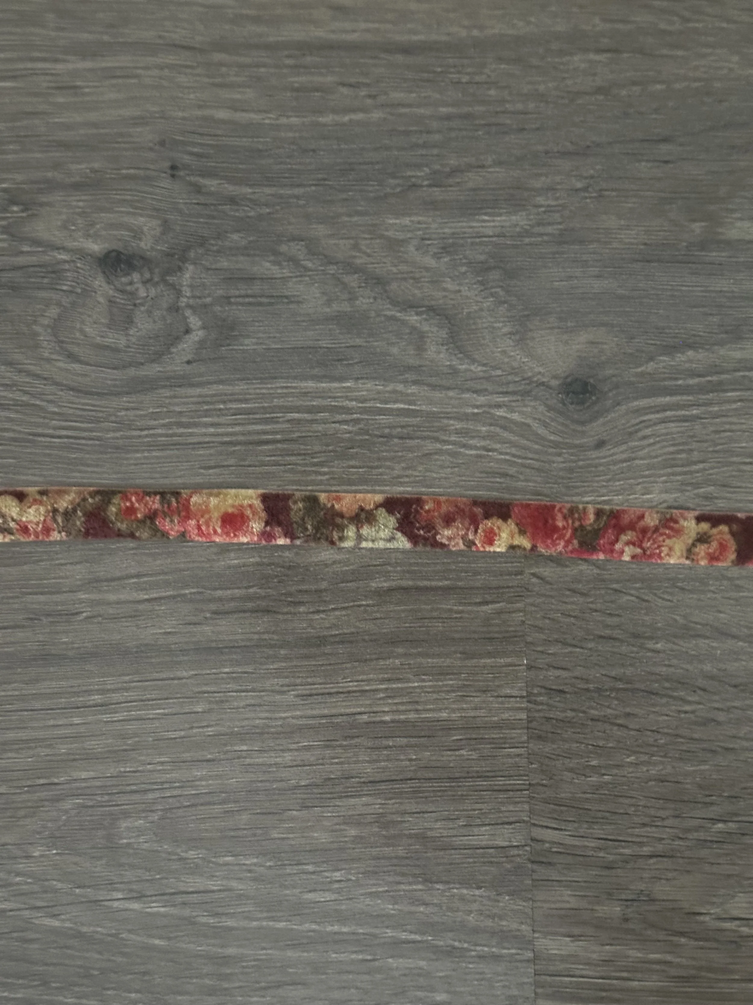 antique velvet ribbon close up.jpg