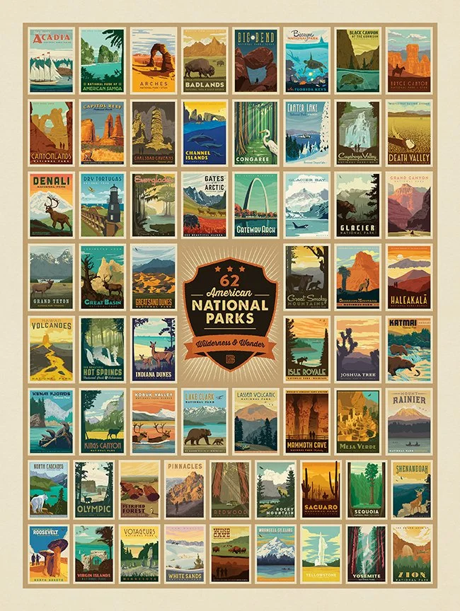 National Parks Wilderness Wonders Panel, 54" x 72" Quilting Cotton Fabric, Riley Blake Designs