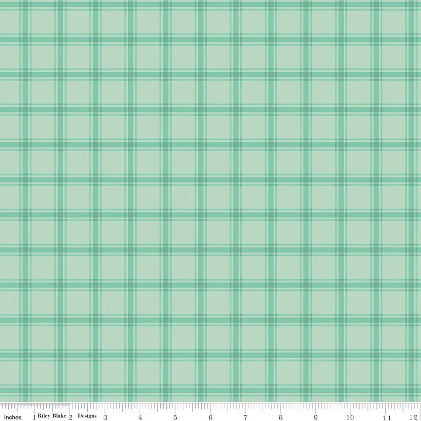 C17444-MINT-72dpi-wruler.jpg