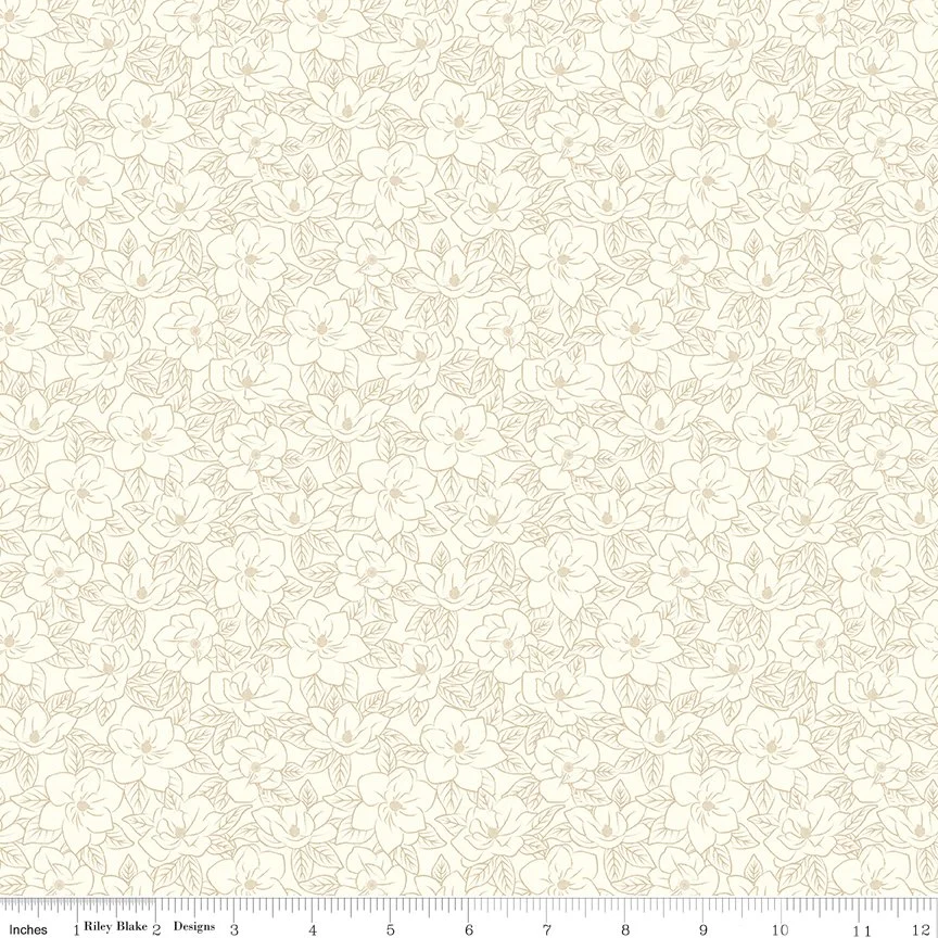 C17445-CLOUD-72dpi-wruler.jpg