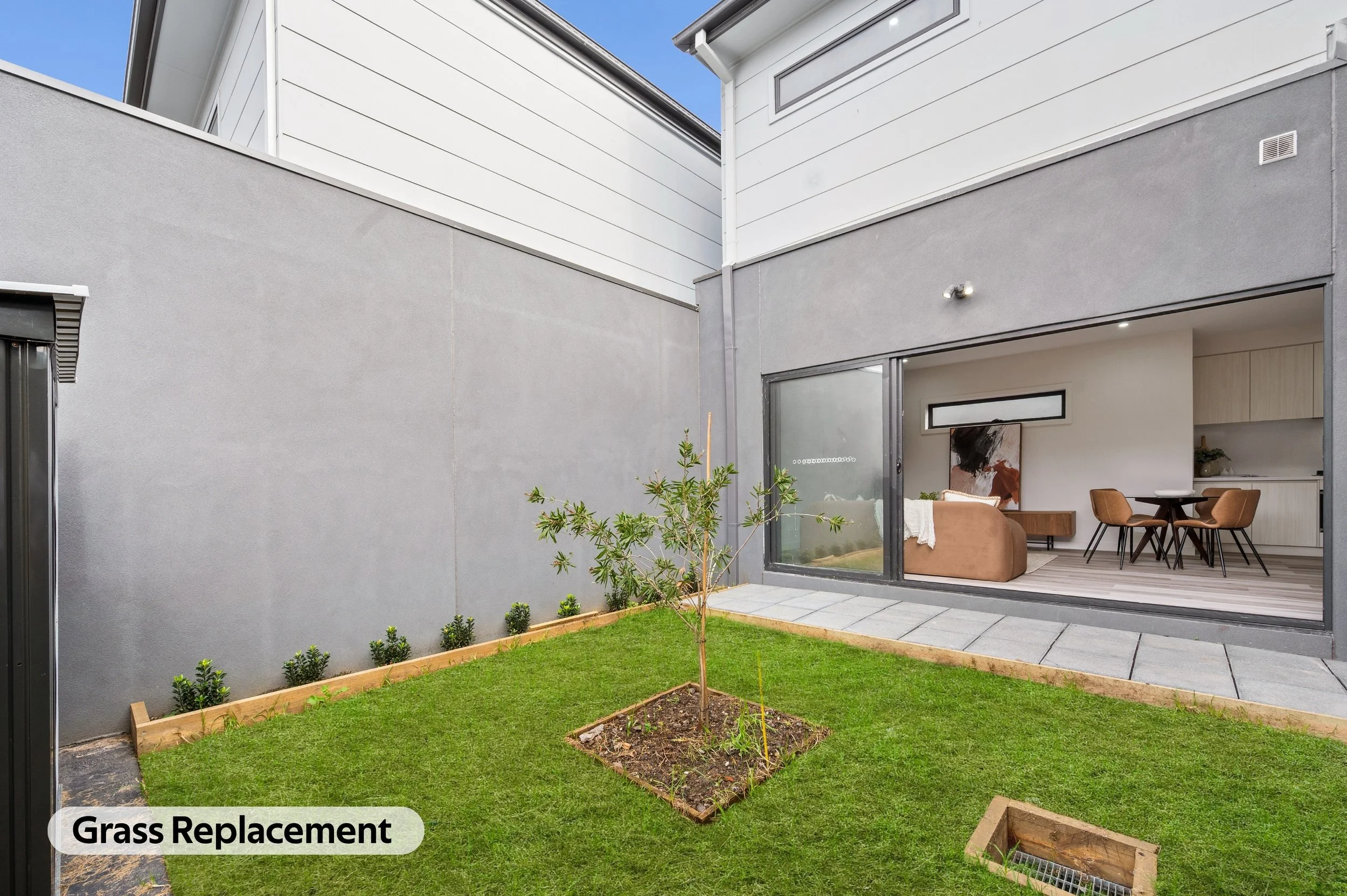 Small tree planted in a grassy backyard with a bordered garden bed, concrete patio, and modern house with large window and outdoor lighting.