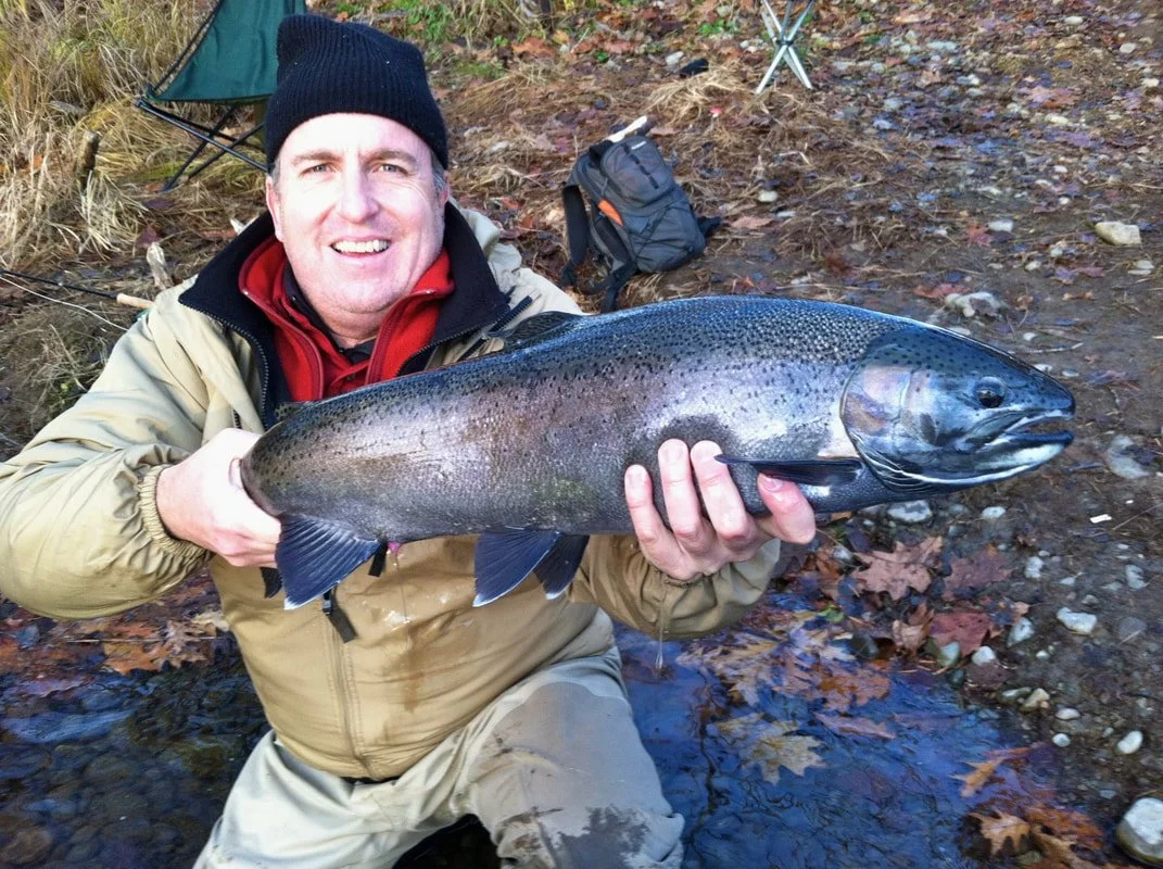 Winter Steelhead on The Great Lakes, The Fish That Started It All