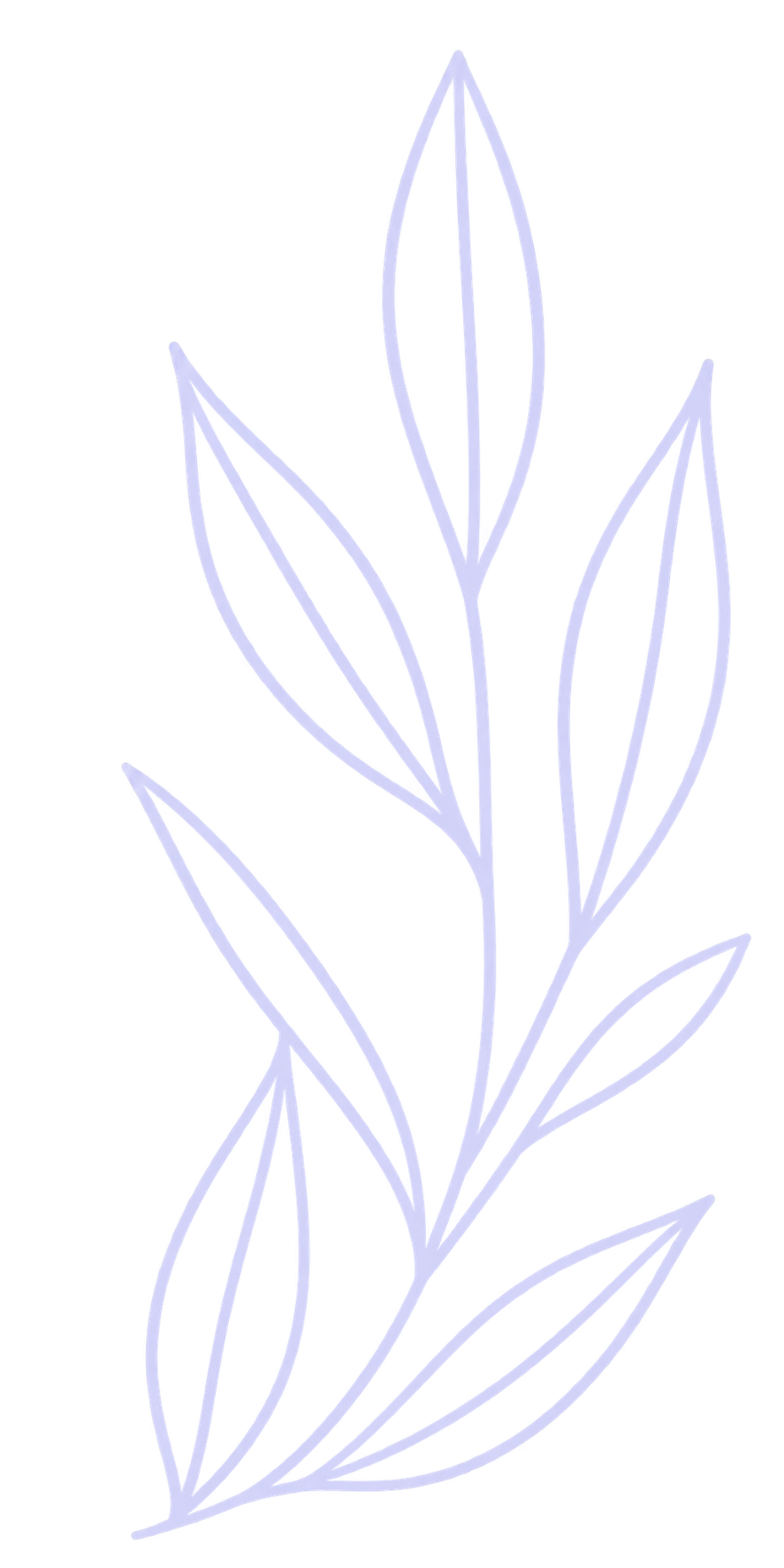 Line art illustration of a plant with elongated leaves, outlined in light purple.