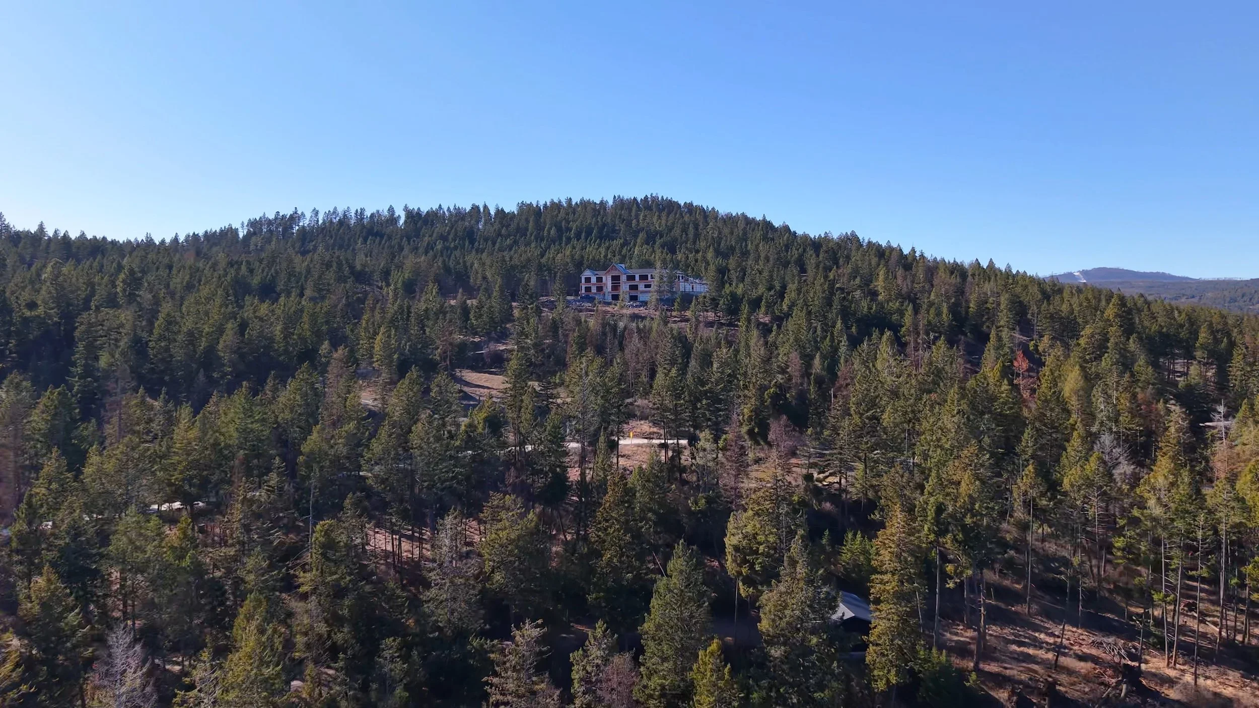 A house under construction on a hillside surrounded by dense forest of pine trees on a clear day.